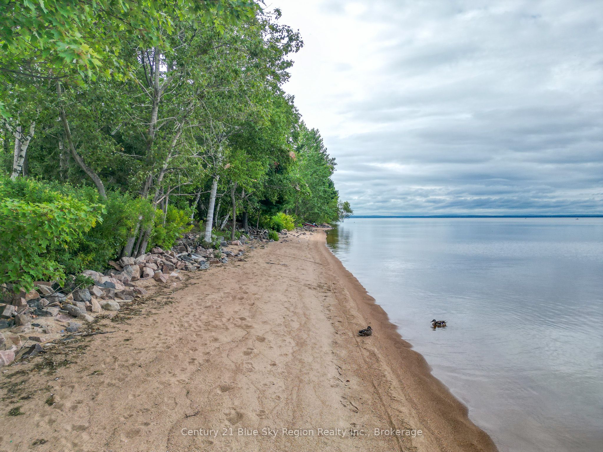 40 Judge Avenue 14 Property Photo 6