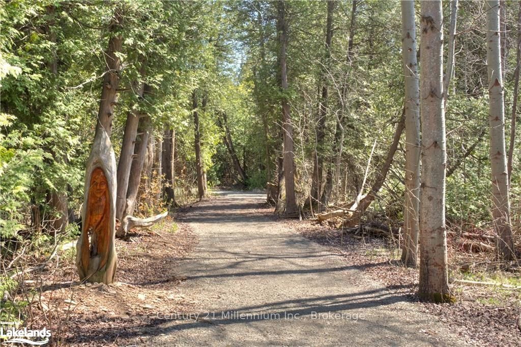 312 Telford Trail Property Photo 26