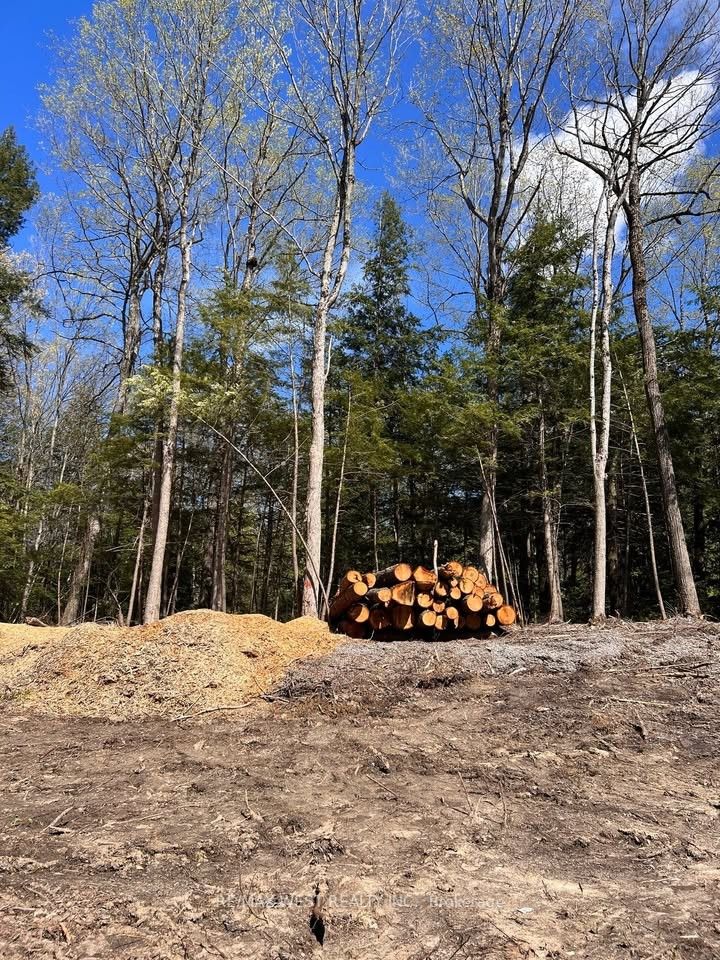 0 Lot Syer Line Property Photo 1