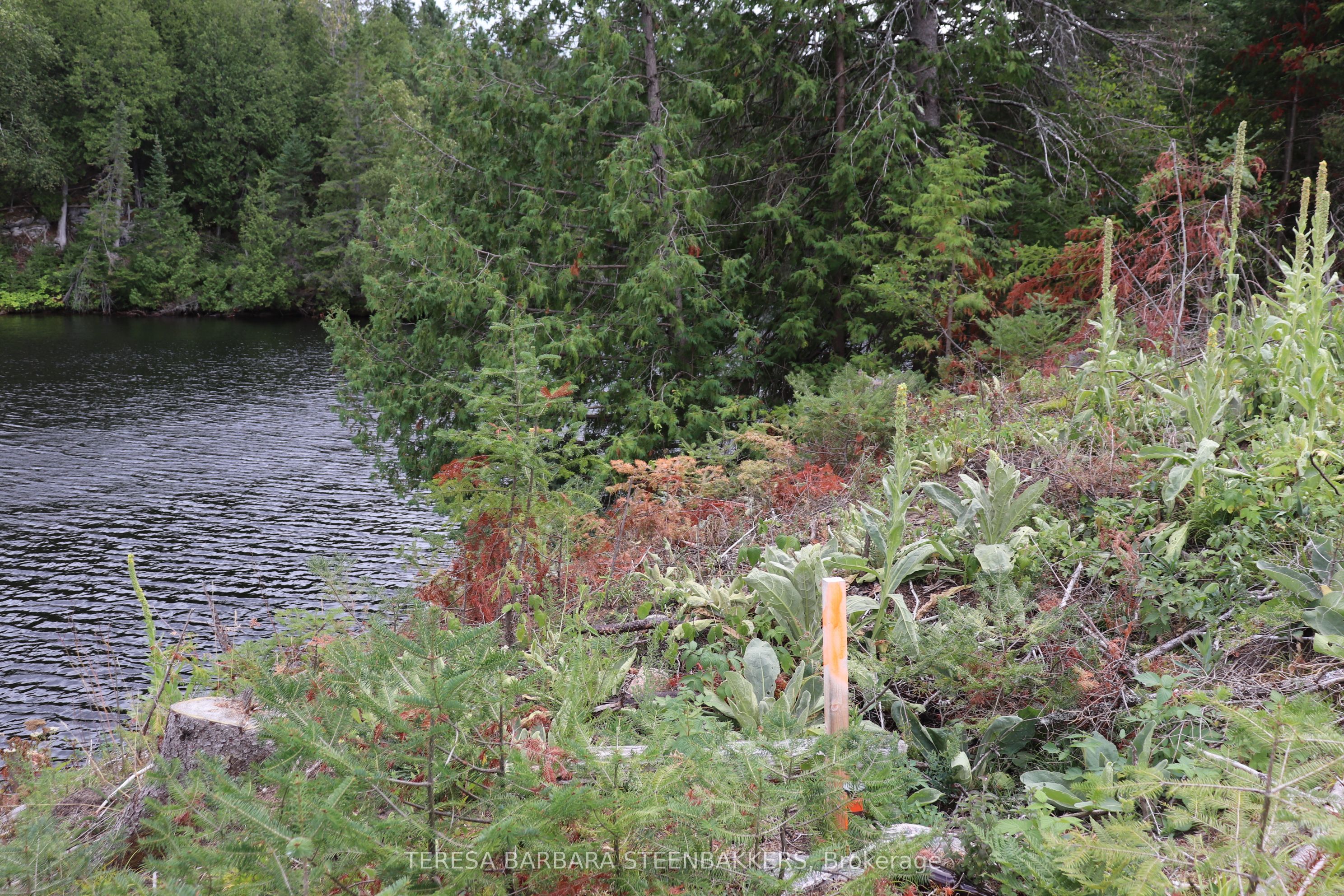 ### Sweets Lane Property Photo 18