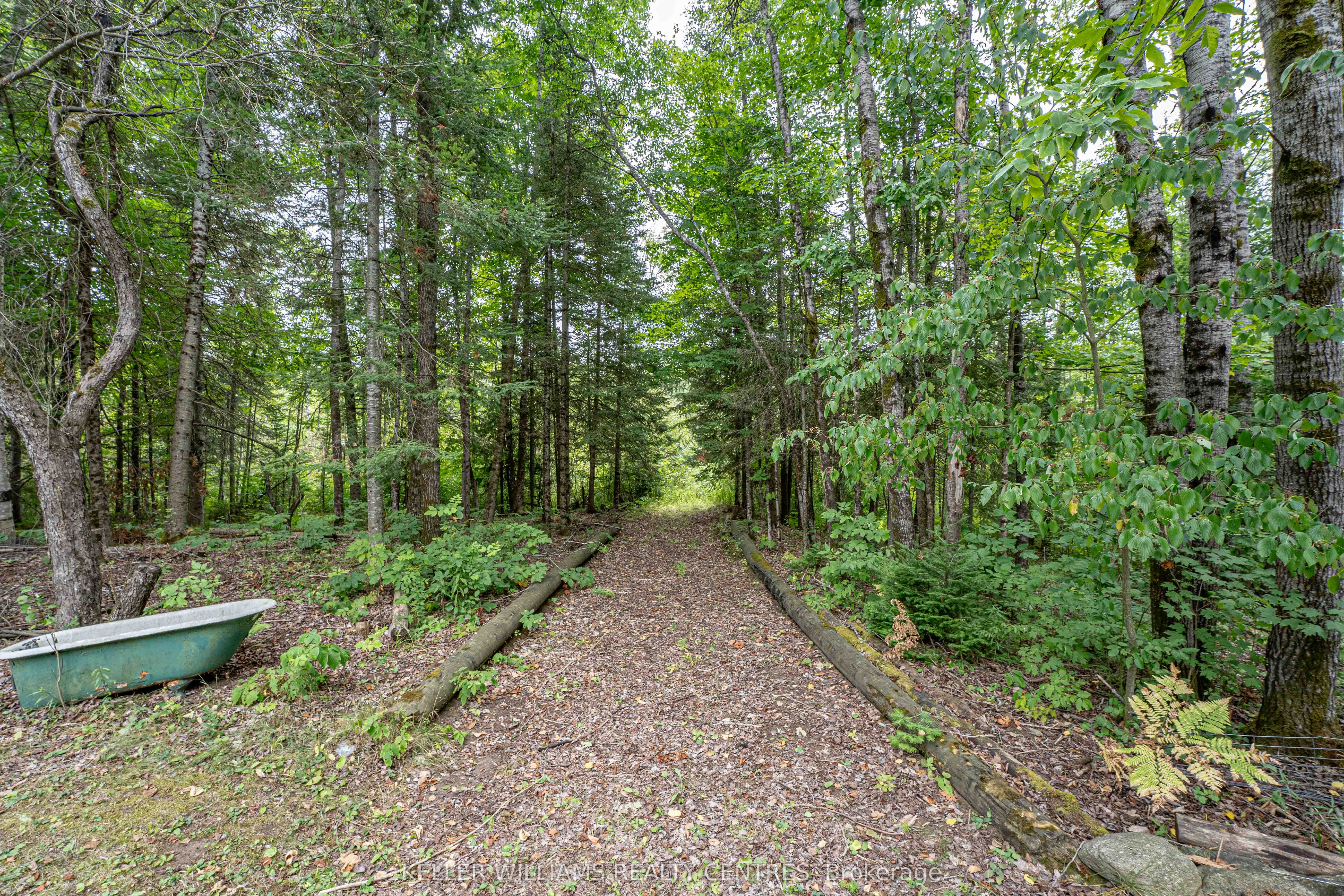 3443 County Rd 620 Road Property Photo 22