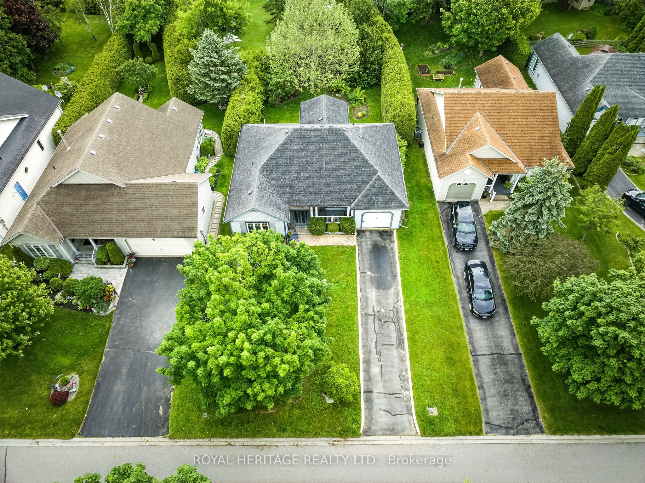 23 Mills Road Property Photo 3