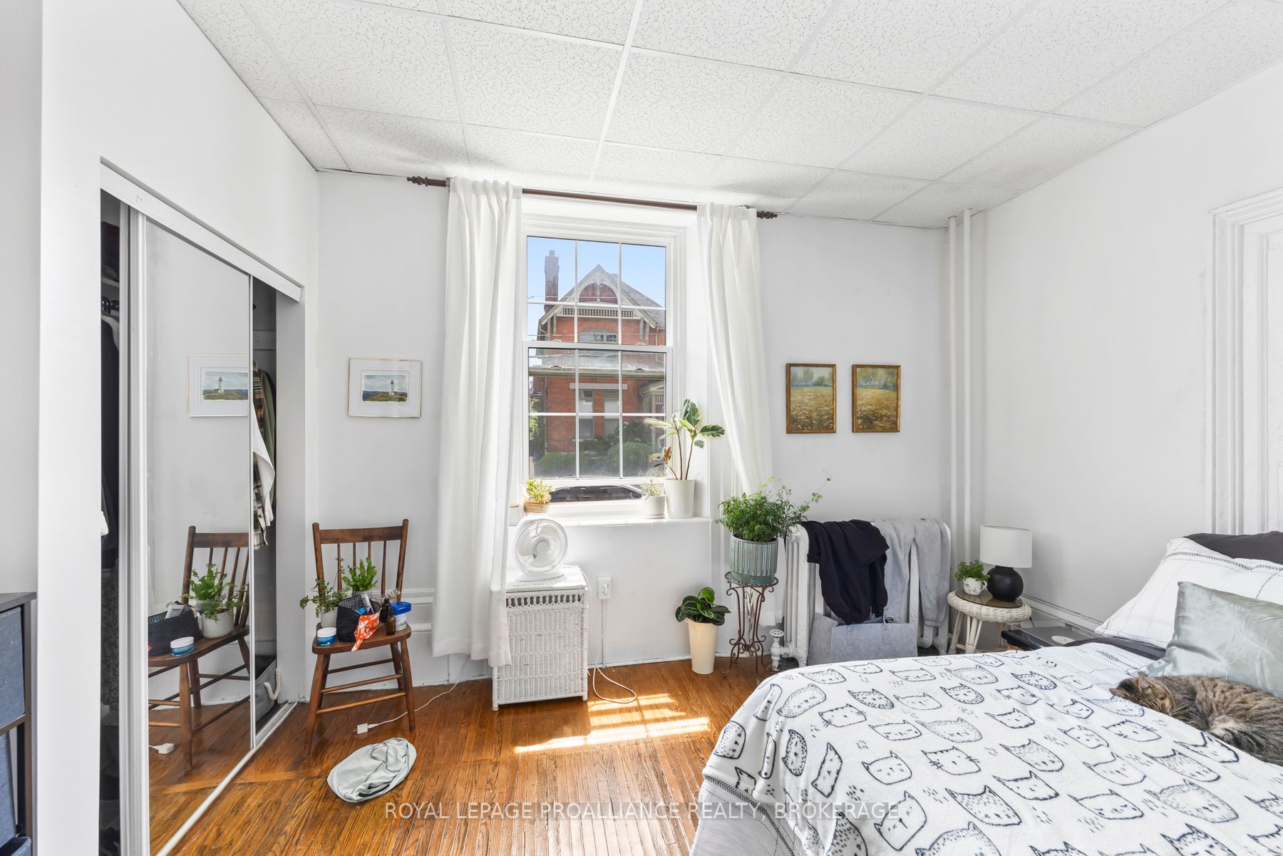 63 William Street Property Photo 14