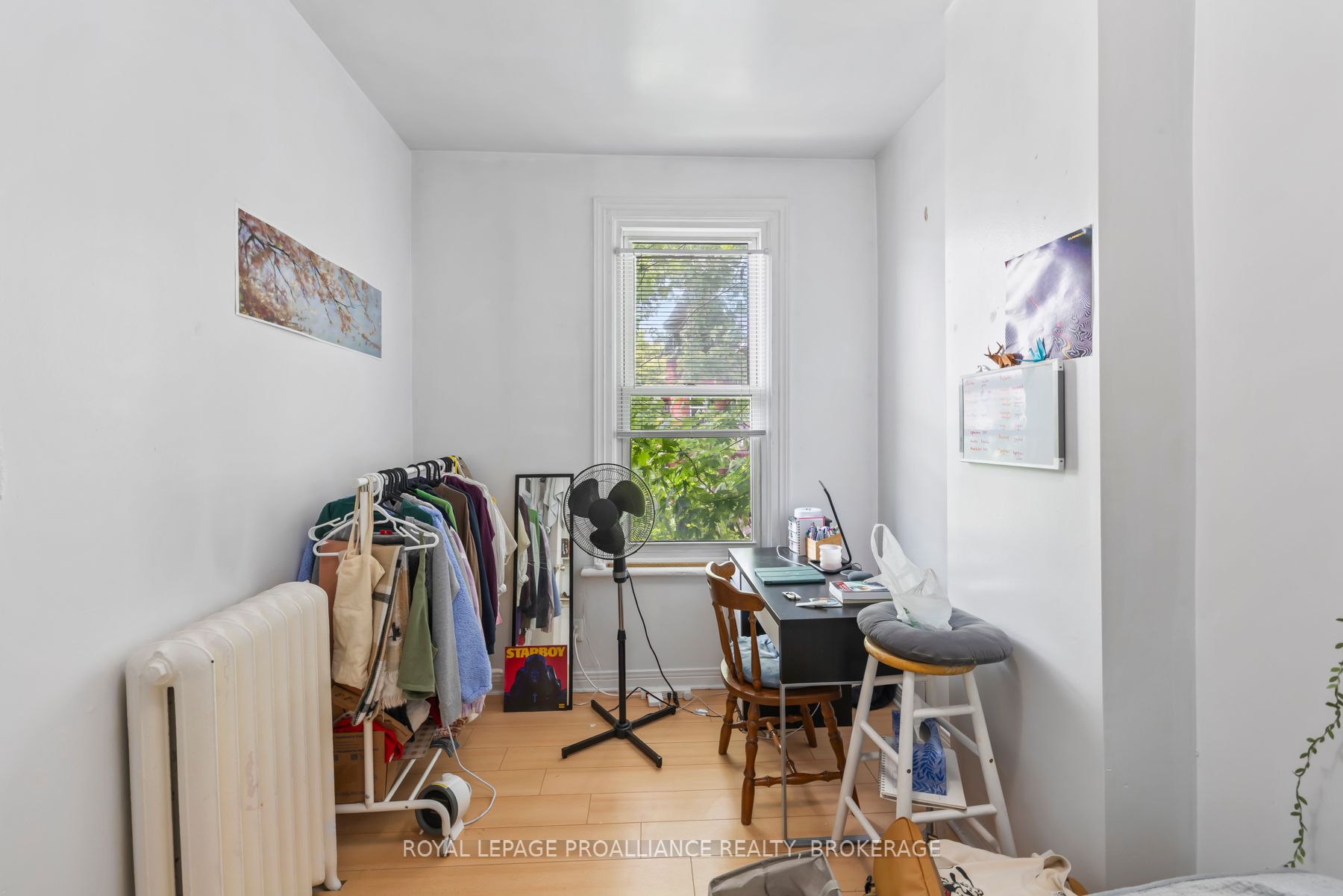 63 William Street Property Photo 37