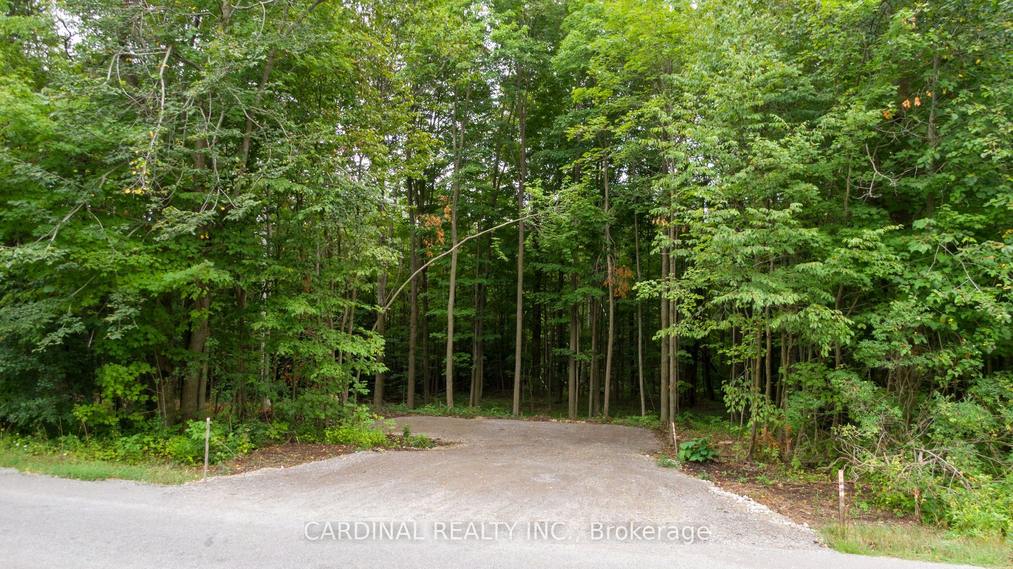 Part 1 Gully Road Property Photo 2