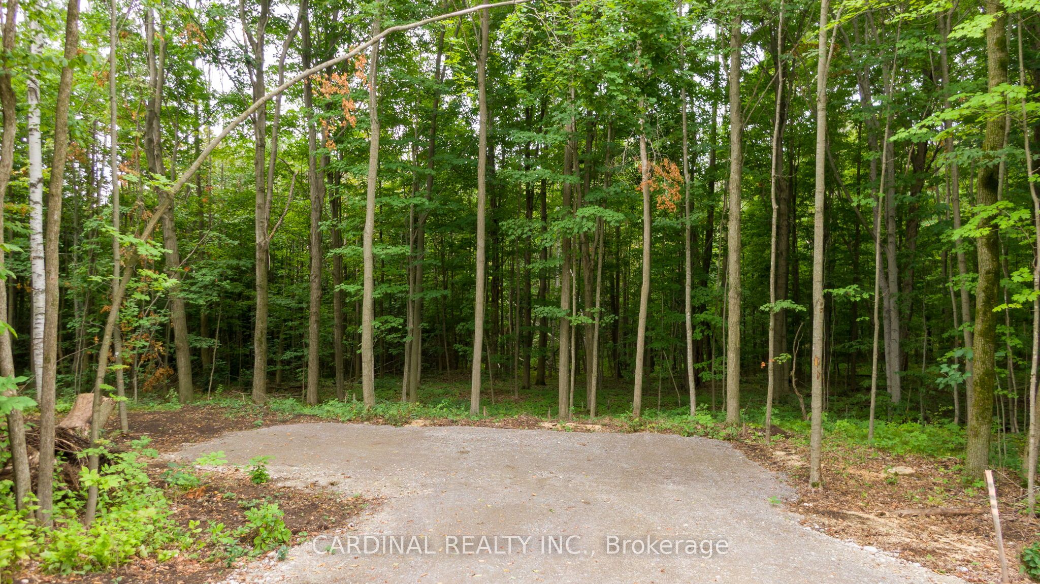 Part 1 Gully Road Property Photo 5