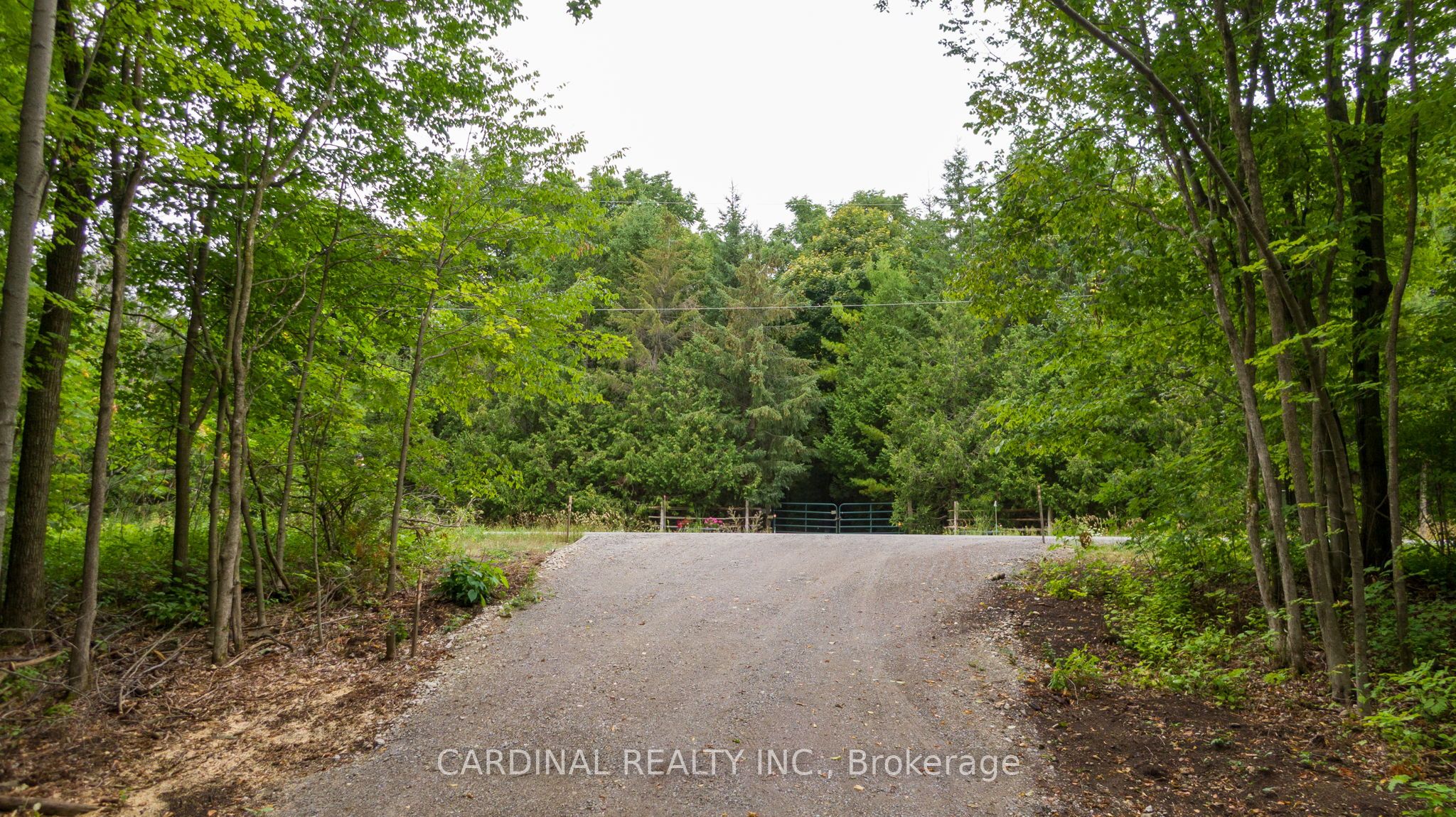 Part 1 Gully Road Property Photo 6