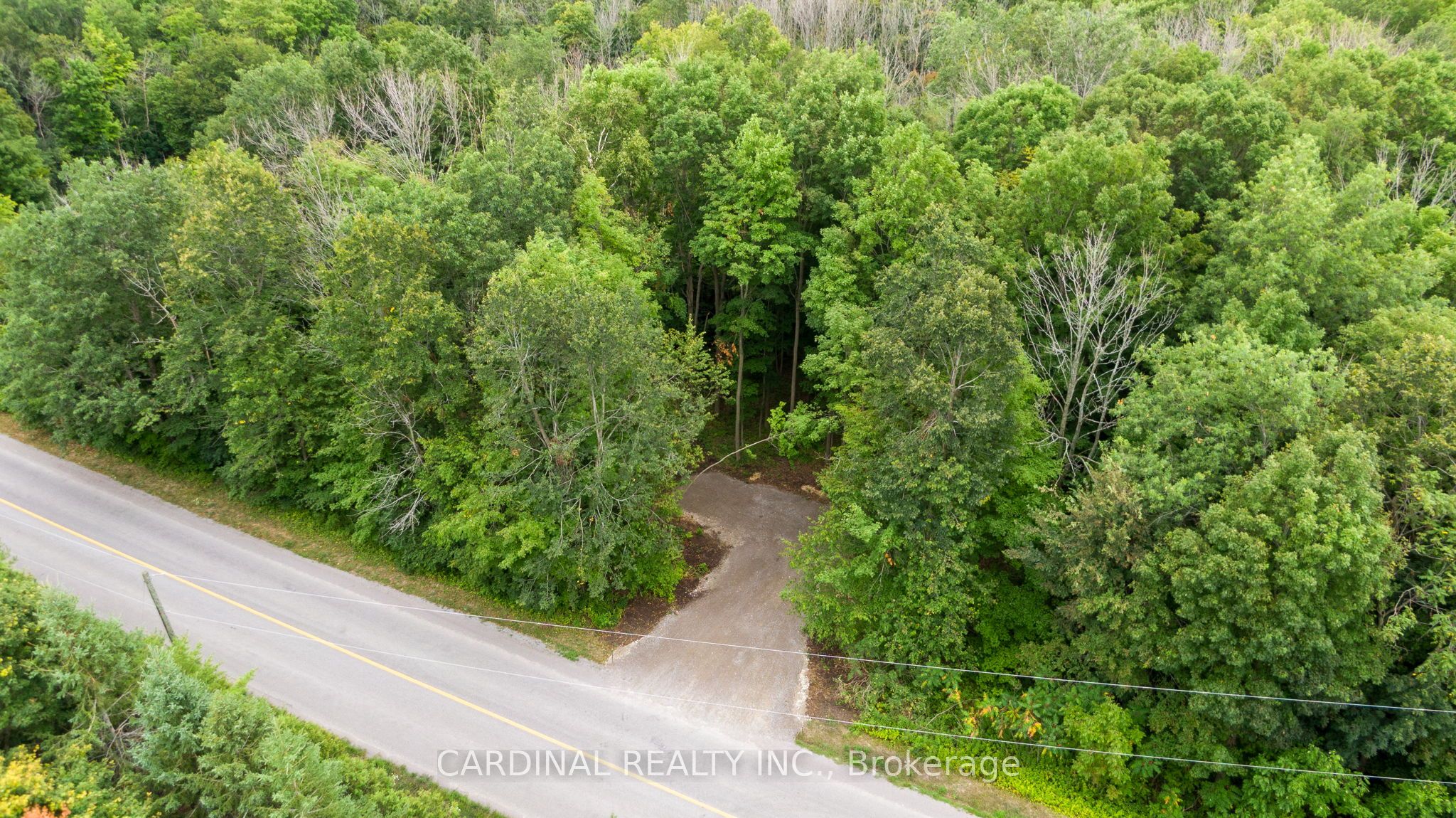 Part 1 Gully Road Property Photo 7