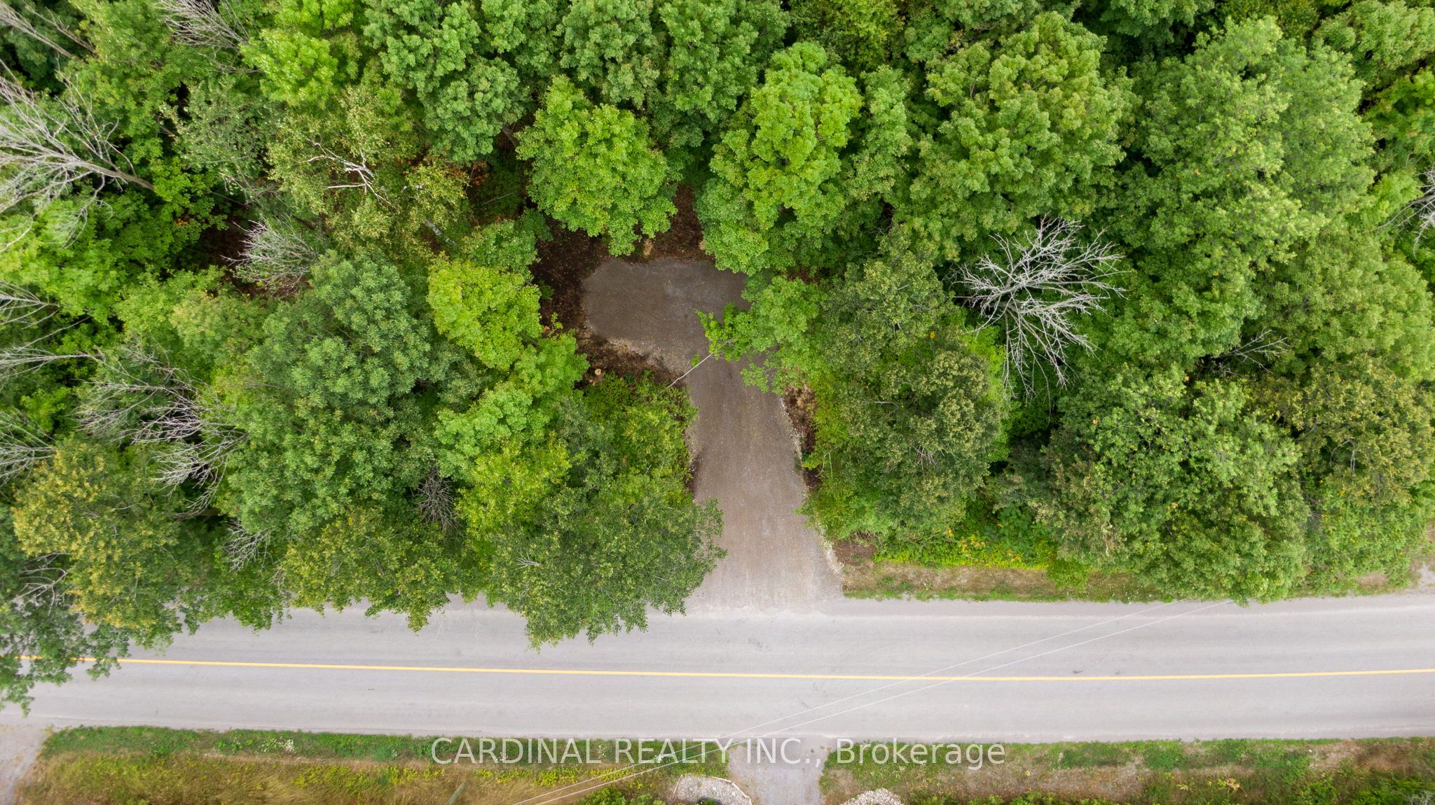 Part 1 Gully Road Property Photo 8