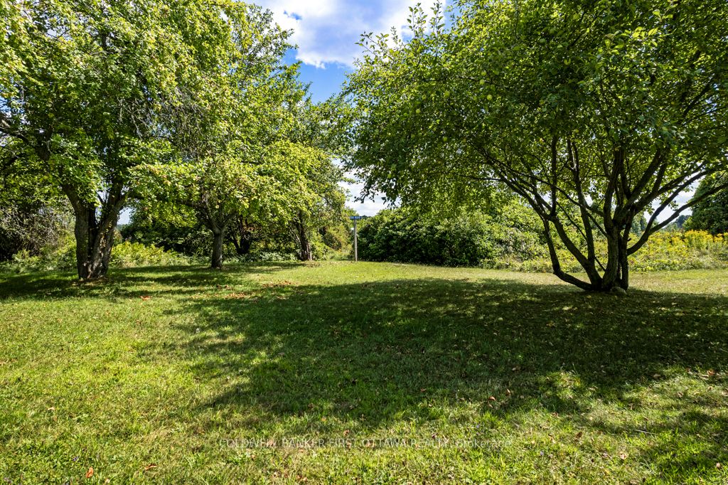 9868 County Road 42 Road Property Photo 37