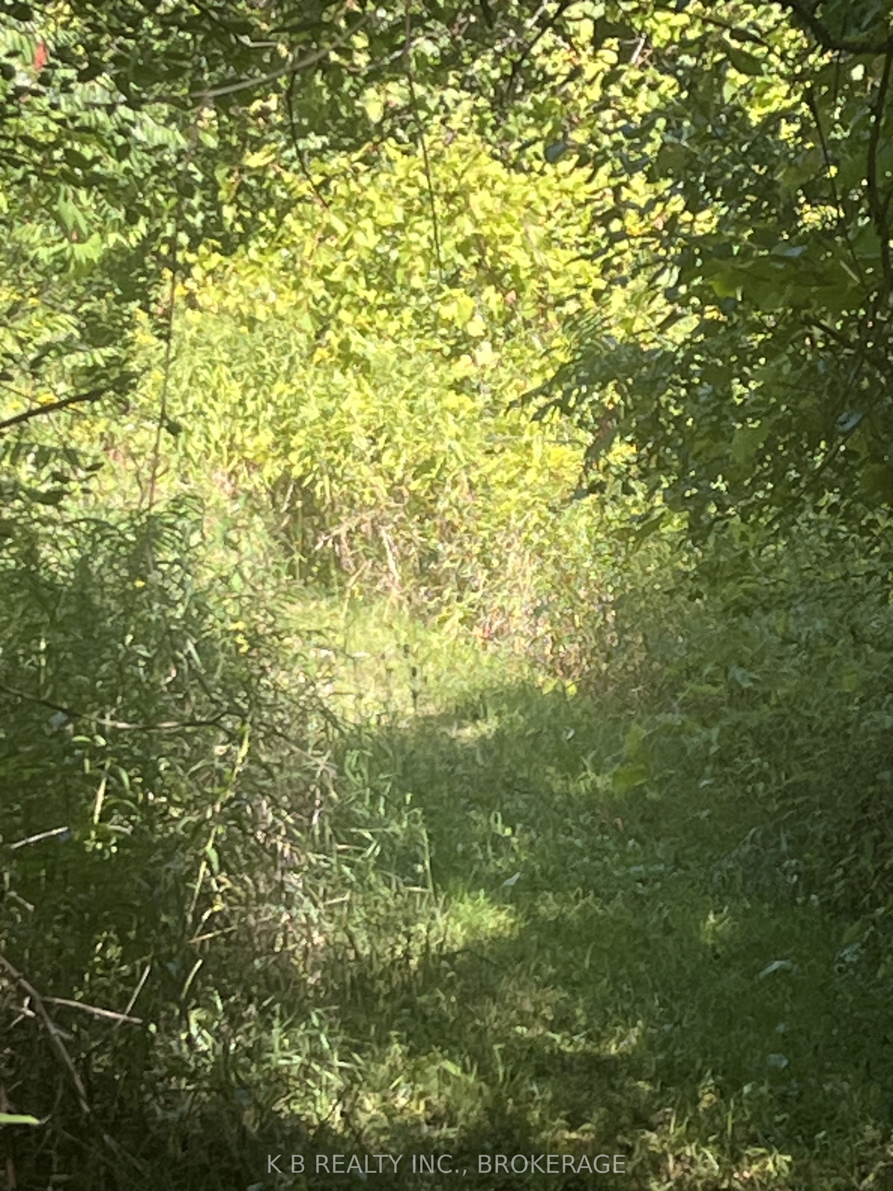 15598 County Road 2 Road Property Photo 17