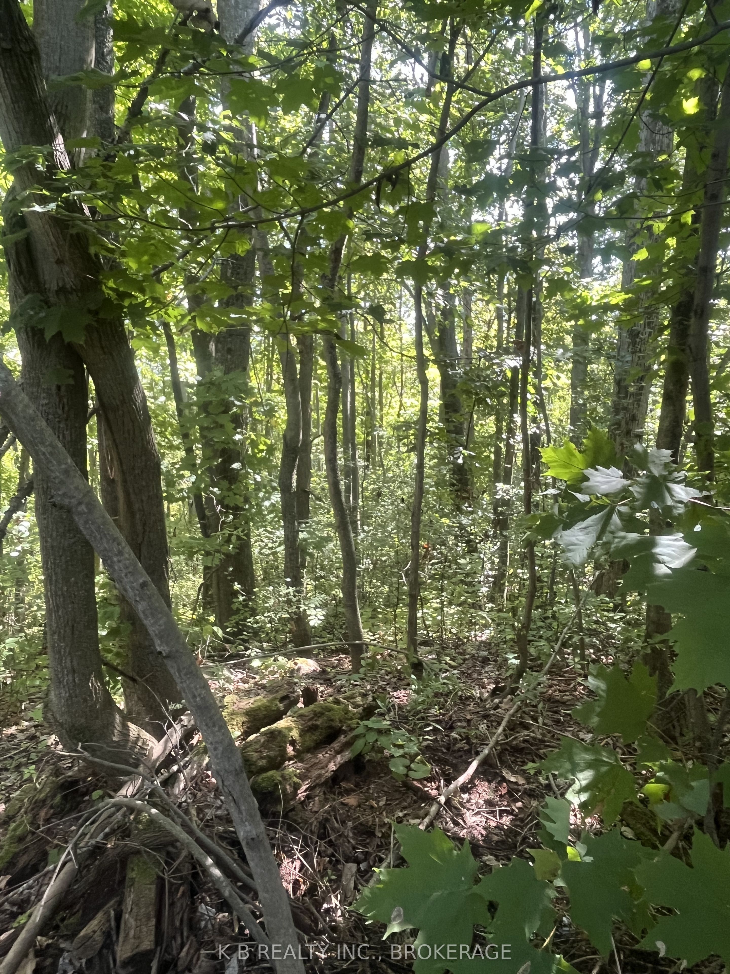 15598 County Road 2 Road Property Photo 18