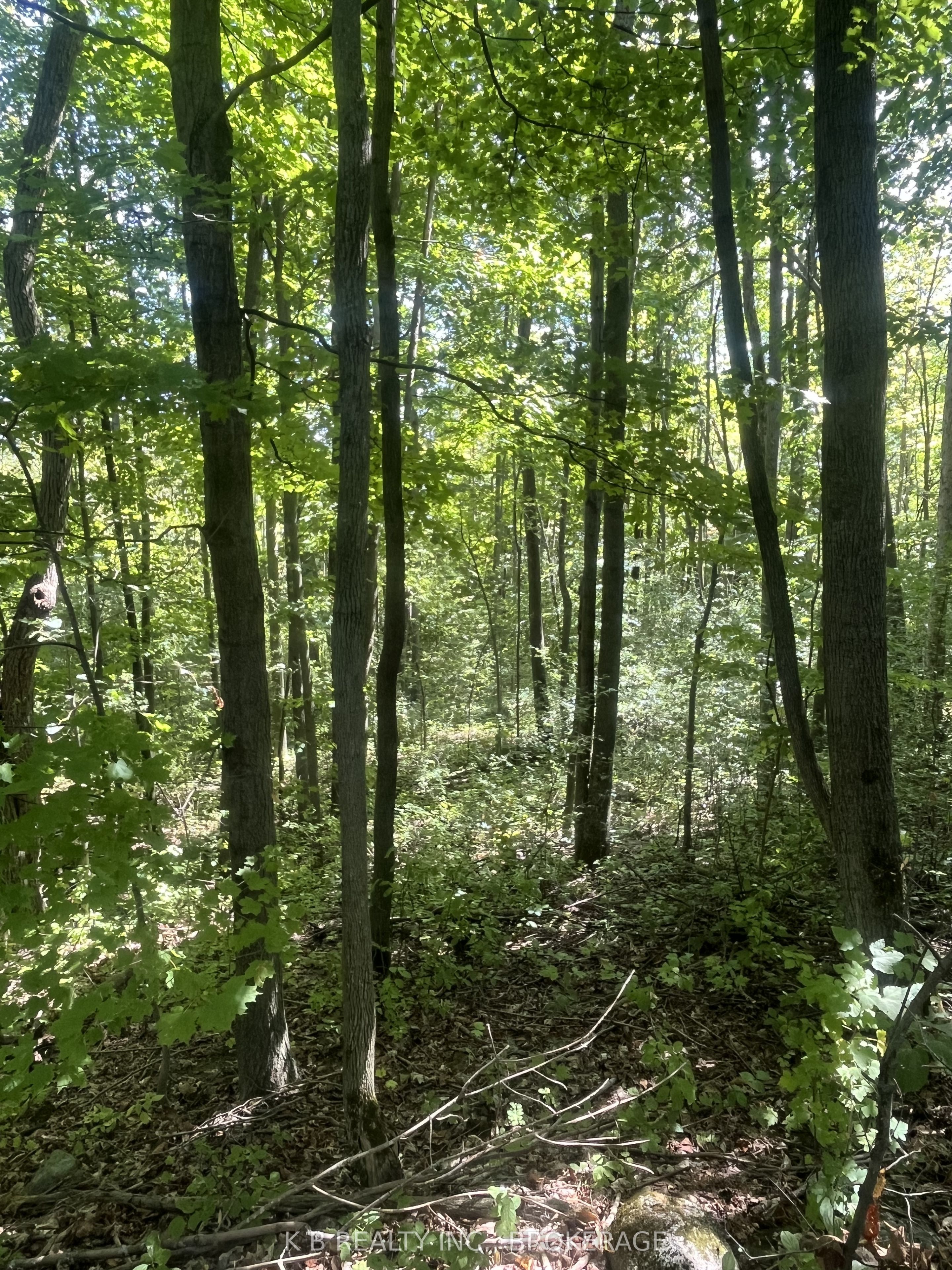 15598 County Road 2 Road Property Photo 20