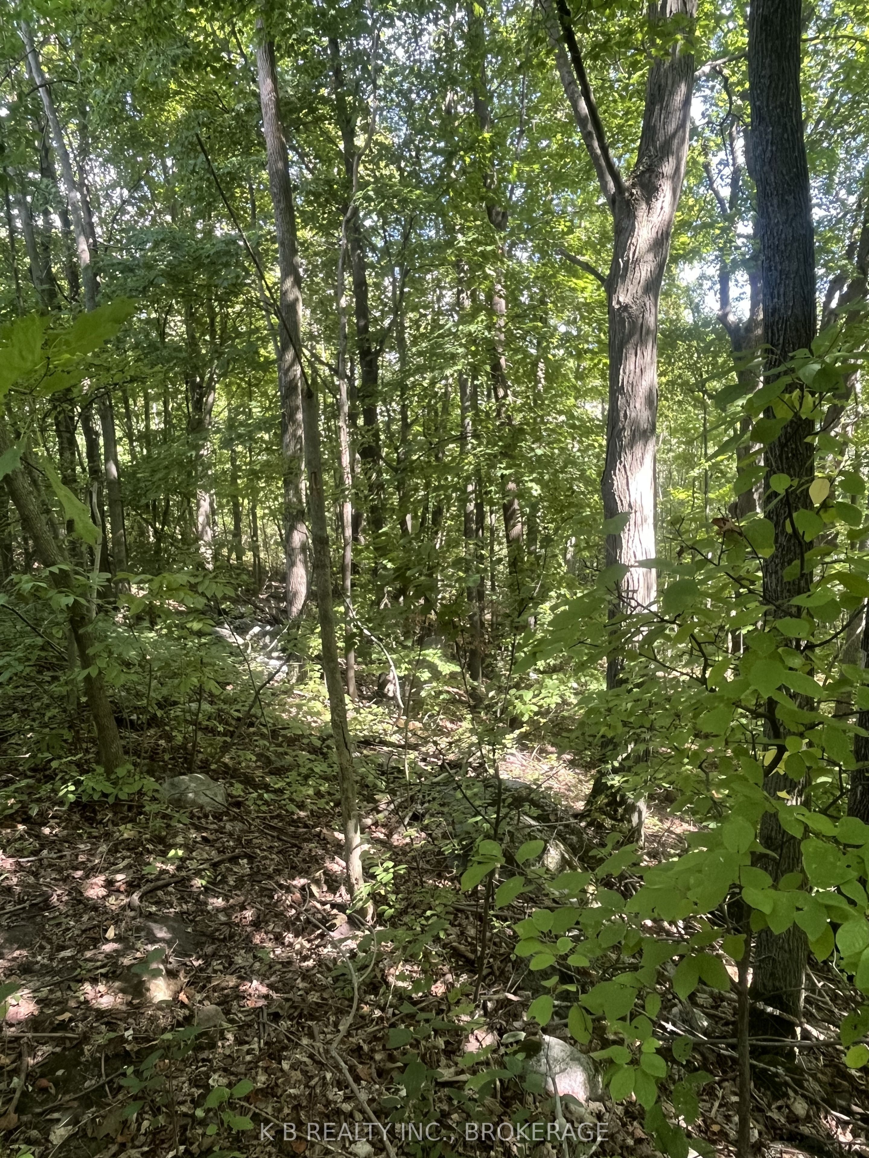 15598 County Road 2 Road Property Photo 21