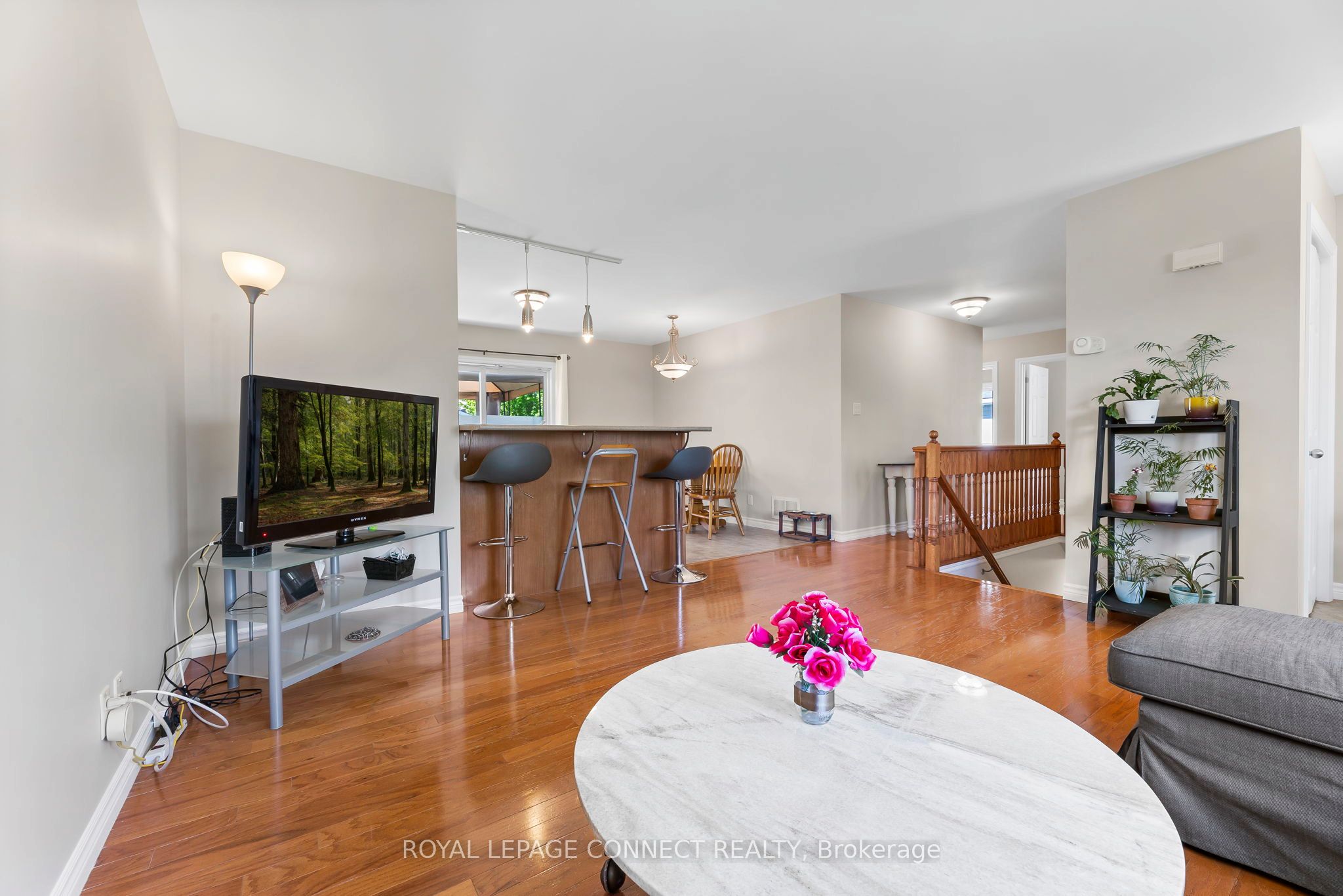 25 Springdale Drive Property Photo 5