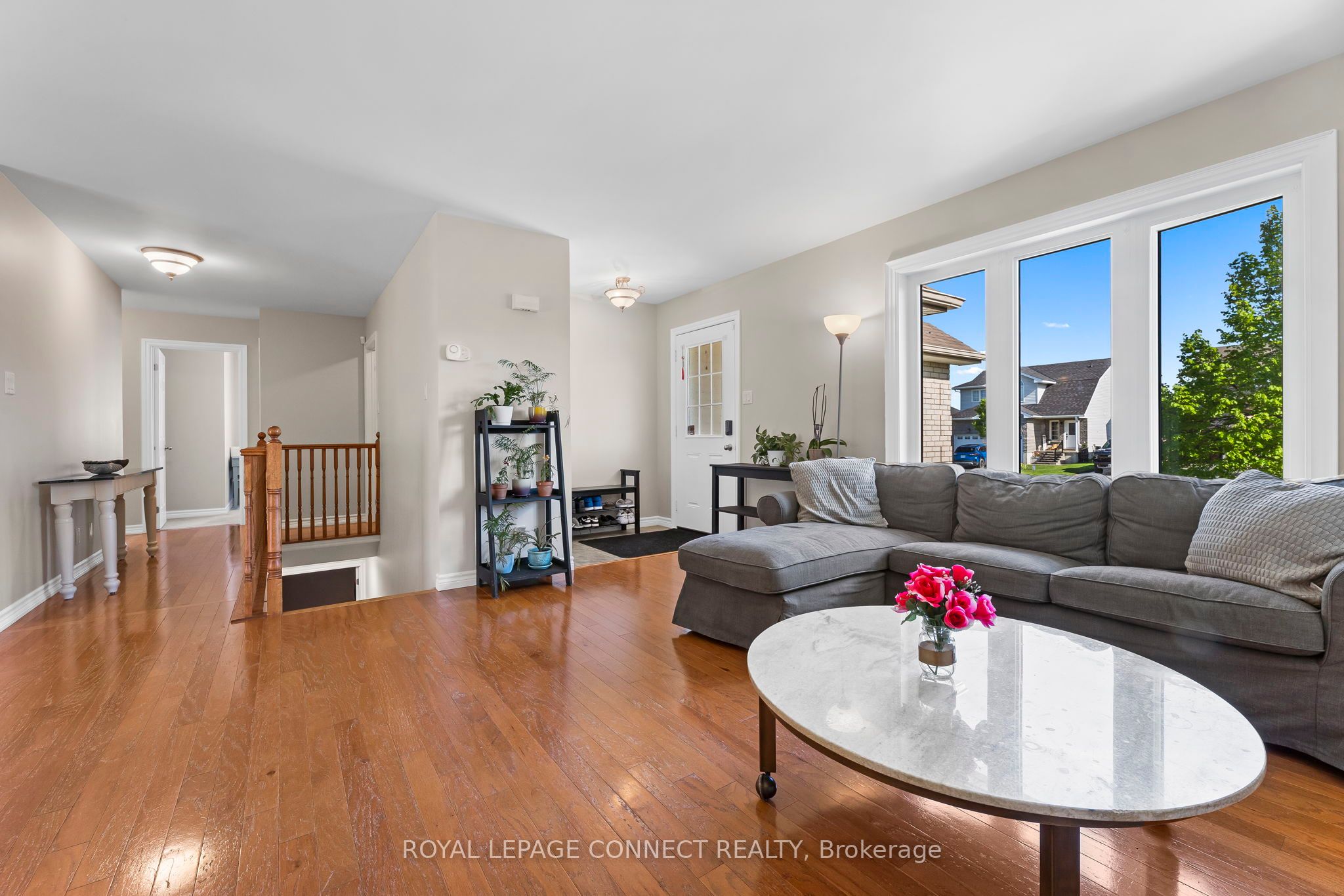 25 Springdale Drive Property Photo 6