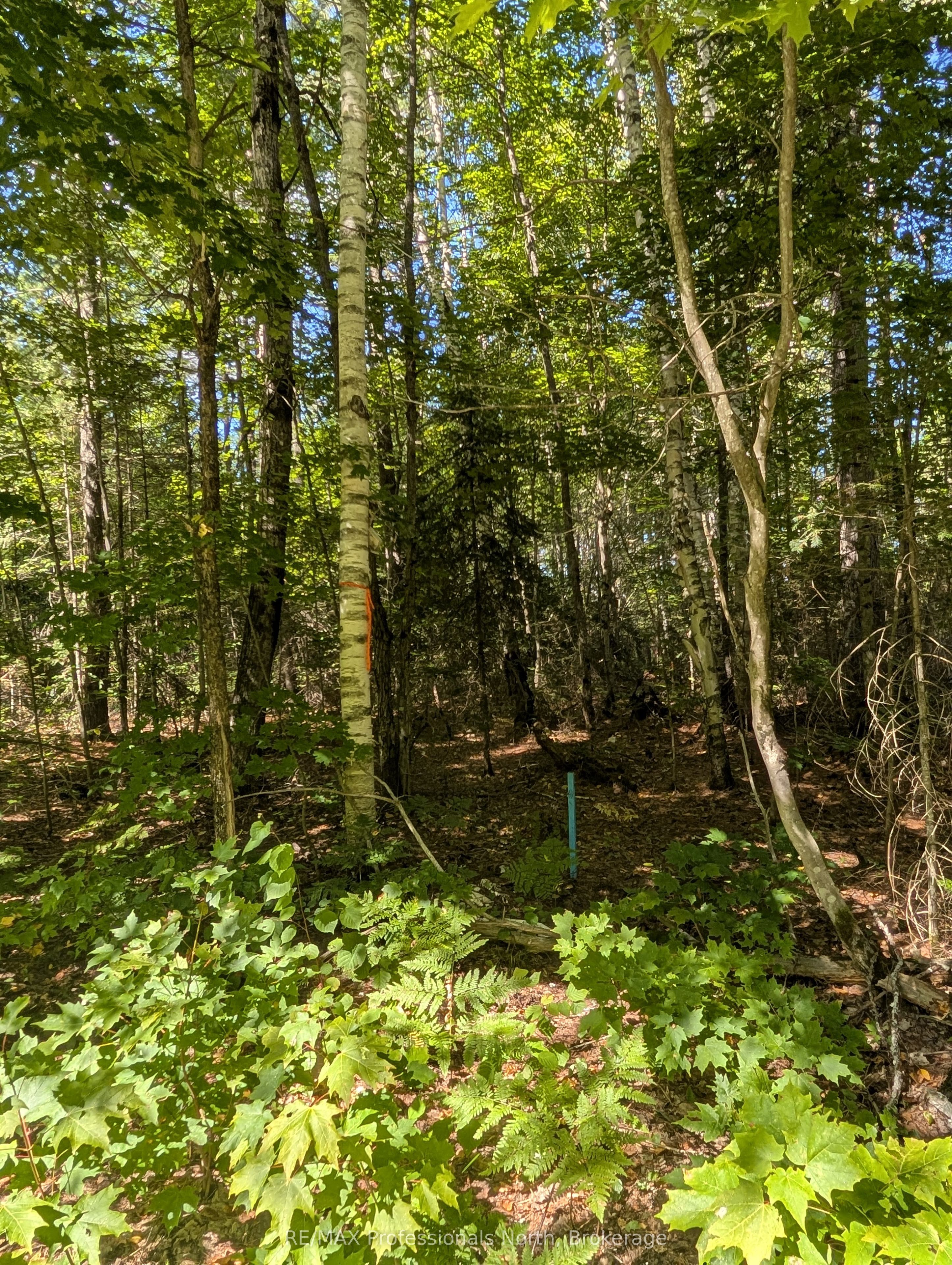 2204 Yearley Road Property Photo 2