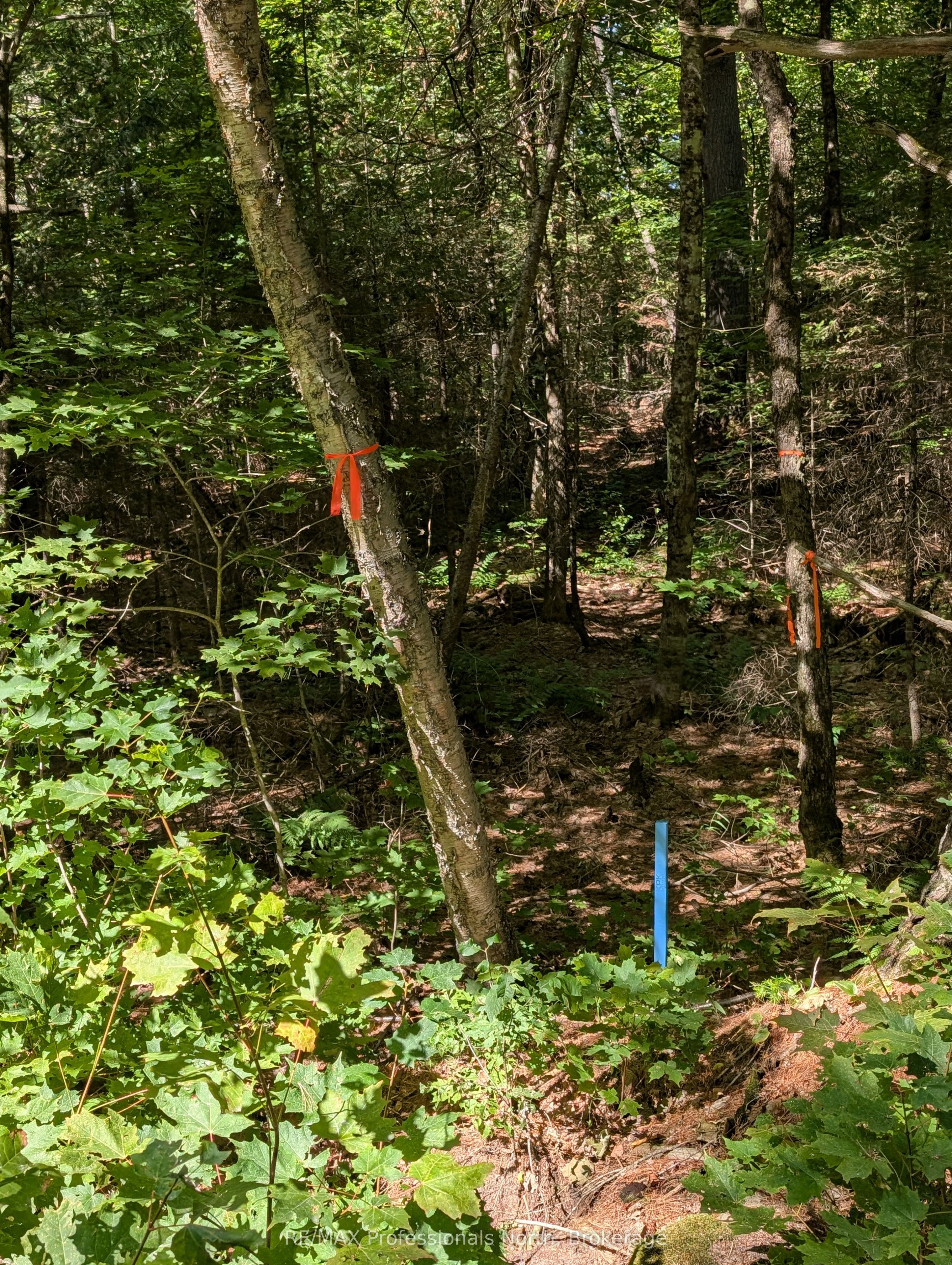 2204 Yearley Road Property Photo 3