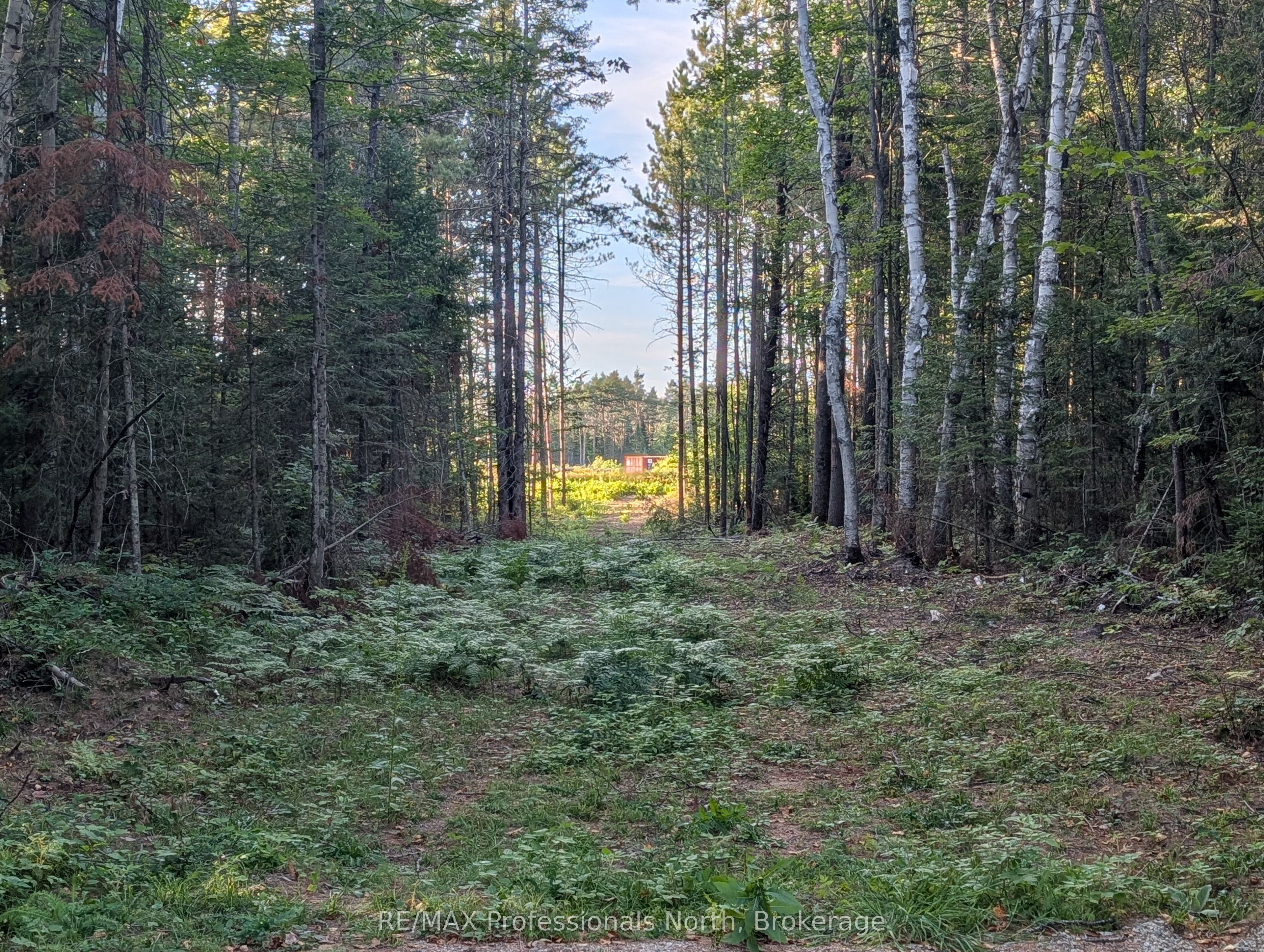 2204 Yearley Road Property Photo 5