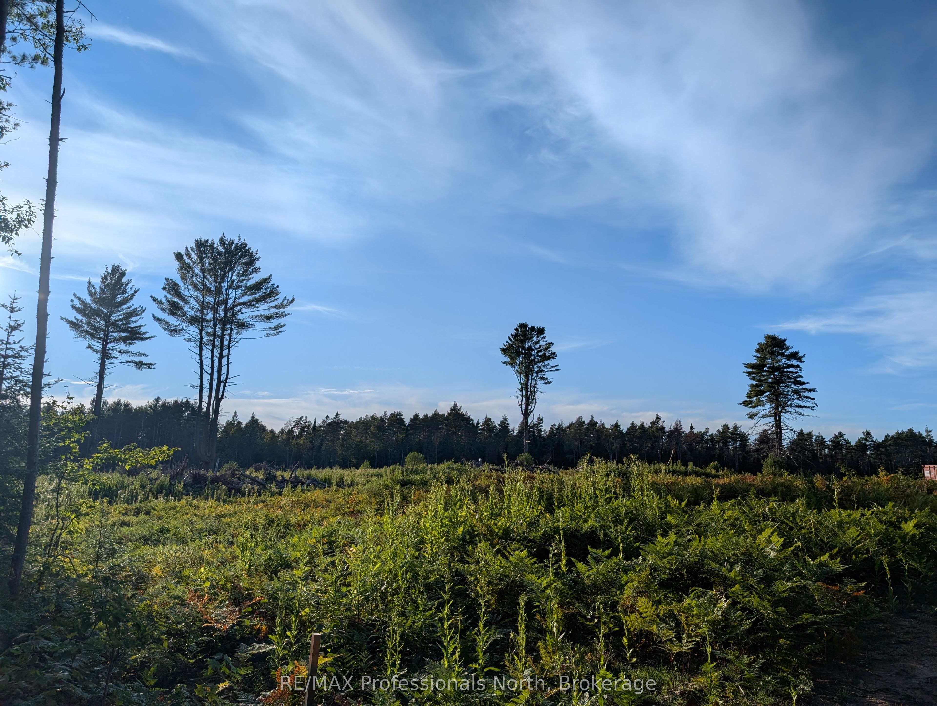 2204 Yearley Road Property Photo 6