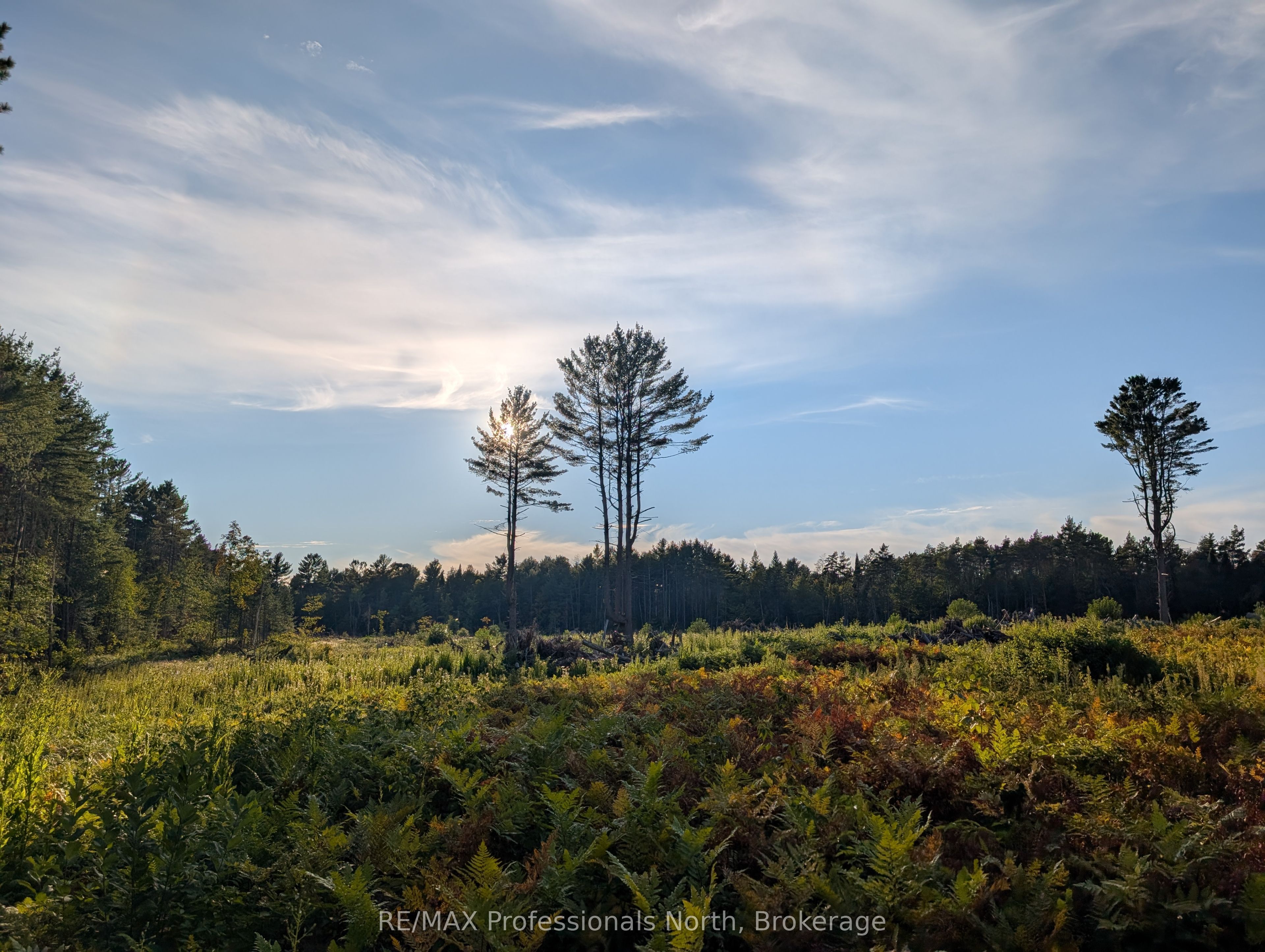 2204 Yearley Road Property Photo 9