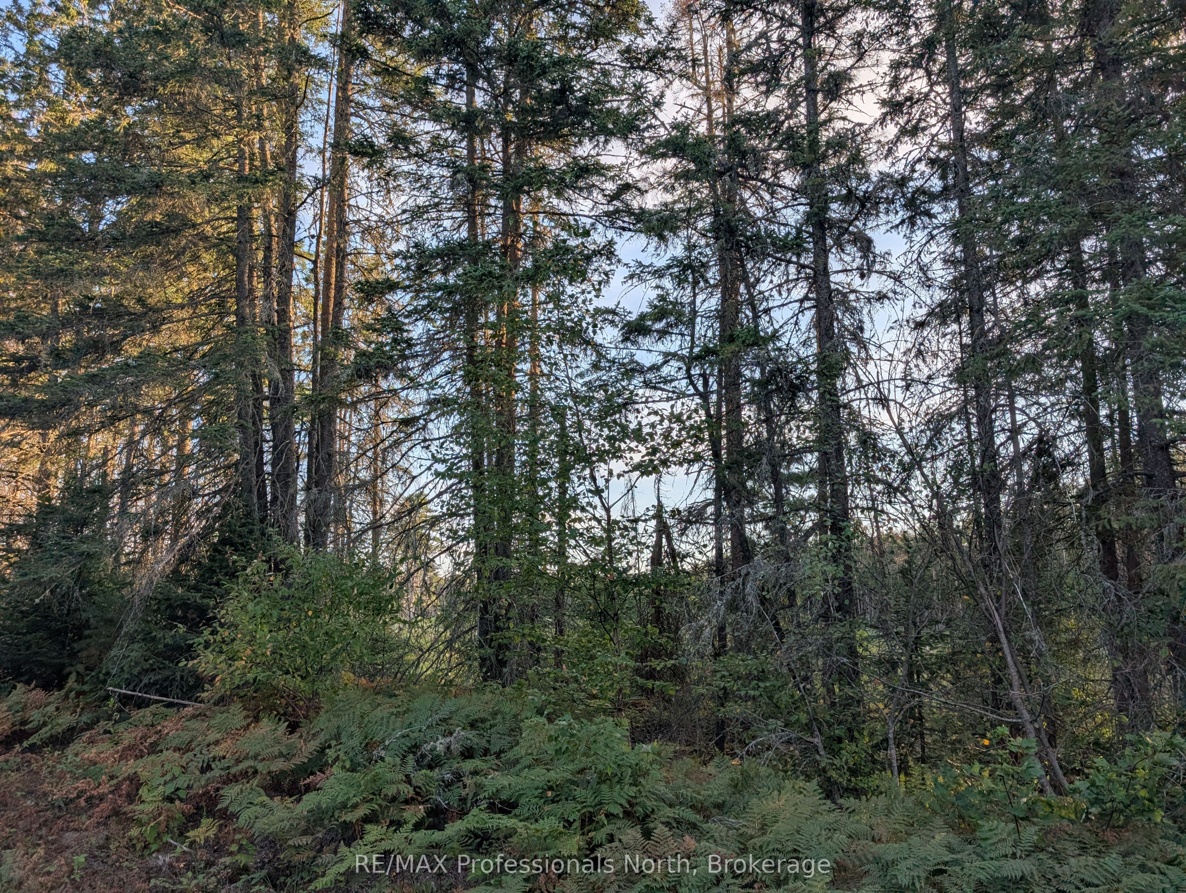 2204 Yearley Road Property Photo 11