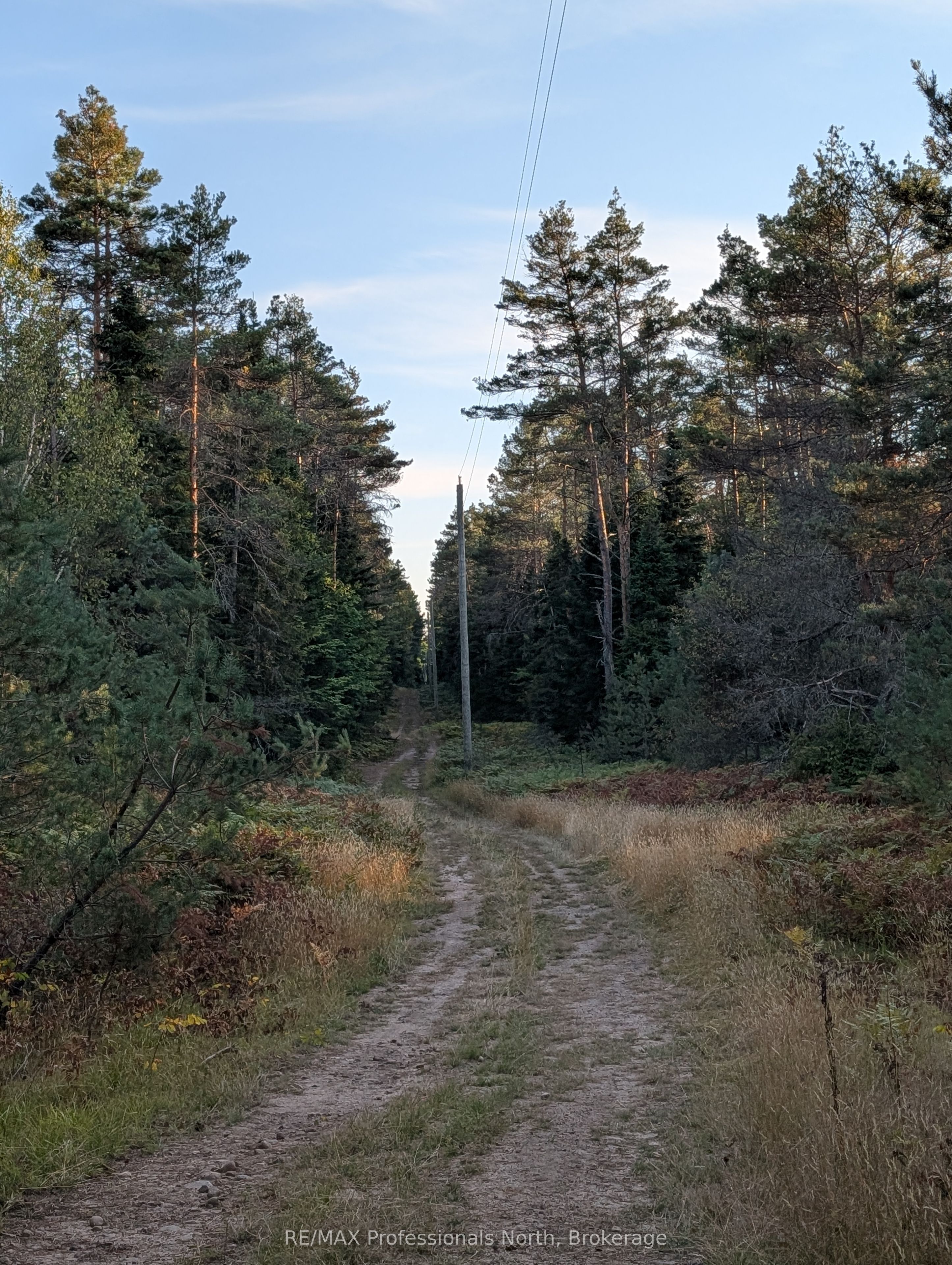 2204 Yearley Road Property Photo 14