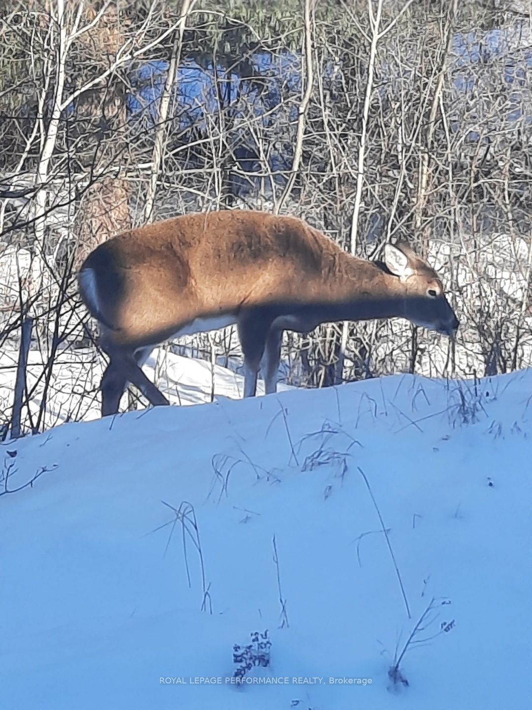 2620 Marchurst Road Property Photo 10