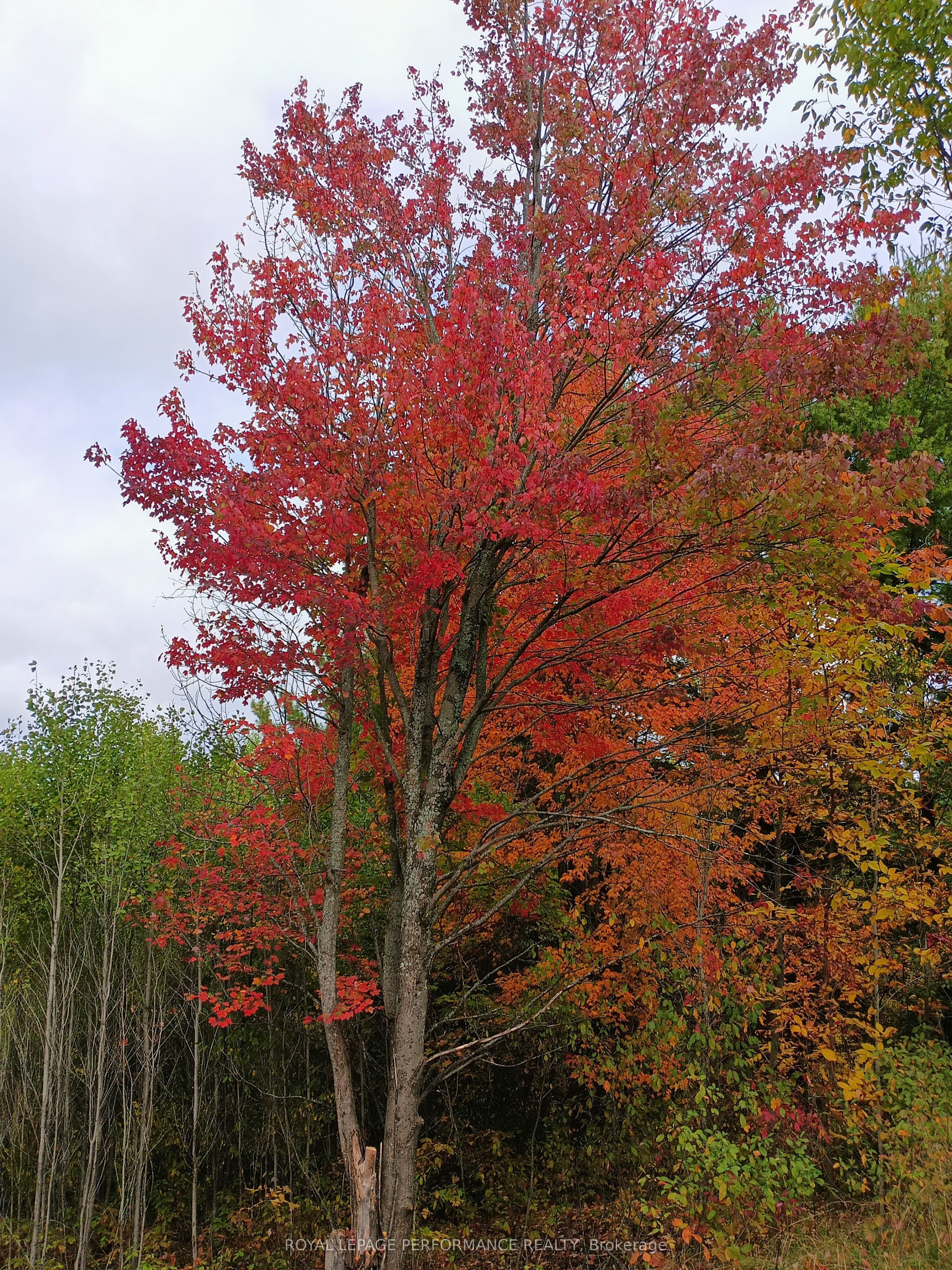 2620 Marchurst Road Property Photo 20