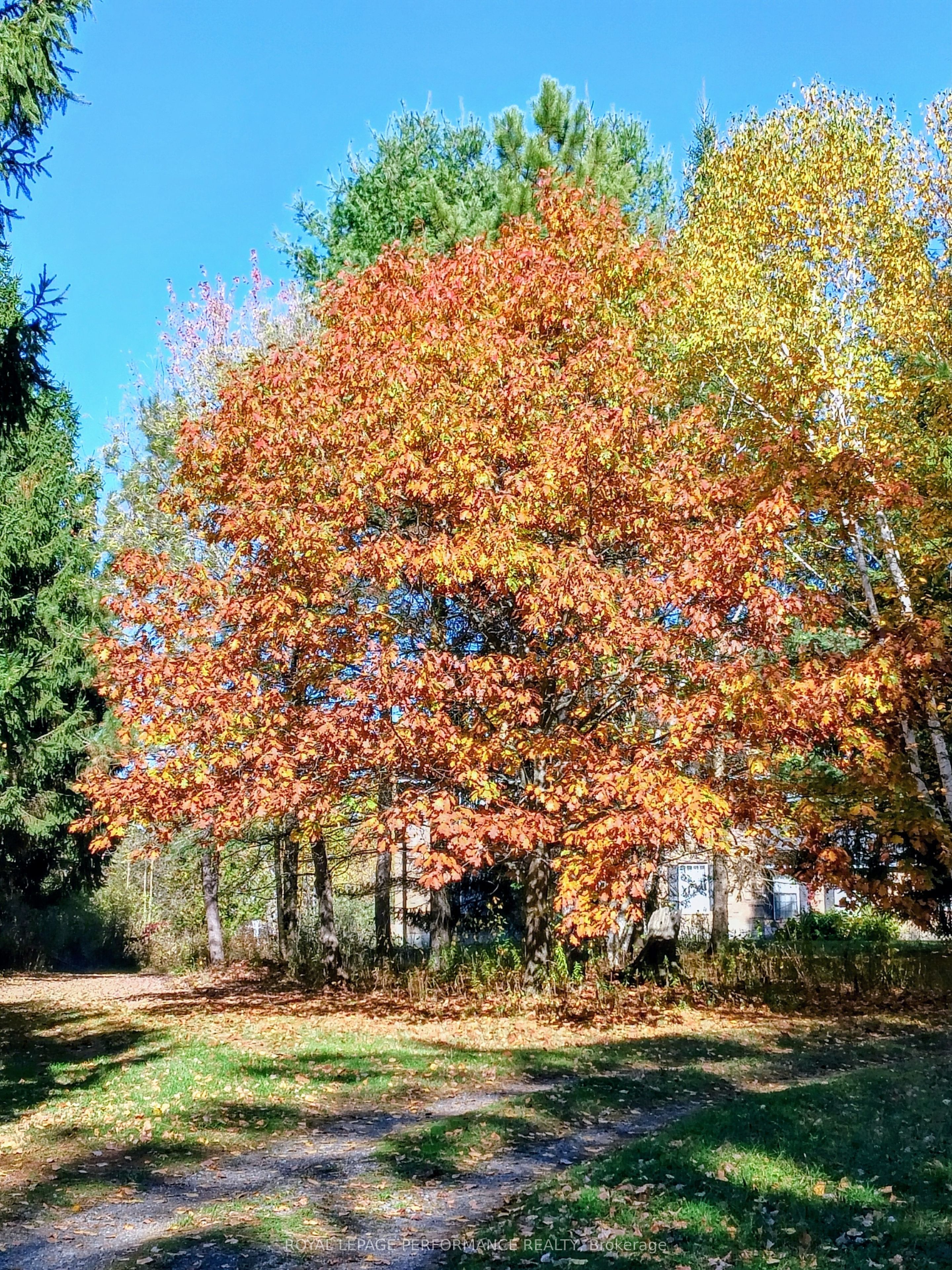 2620 Marchurst Road Property Photo 21