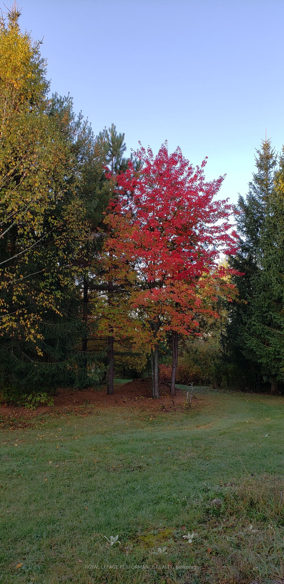 2620 Marchurst Road Property Photo 23