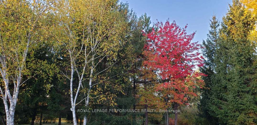 2620 Marchurst Road Property Photo 25