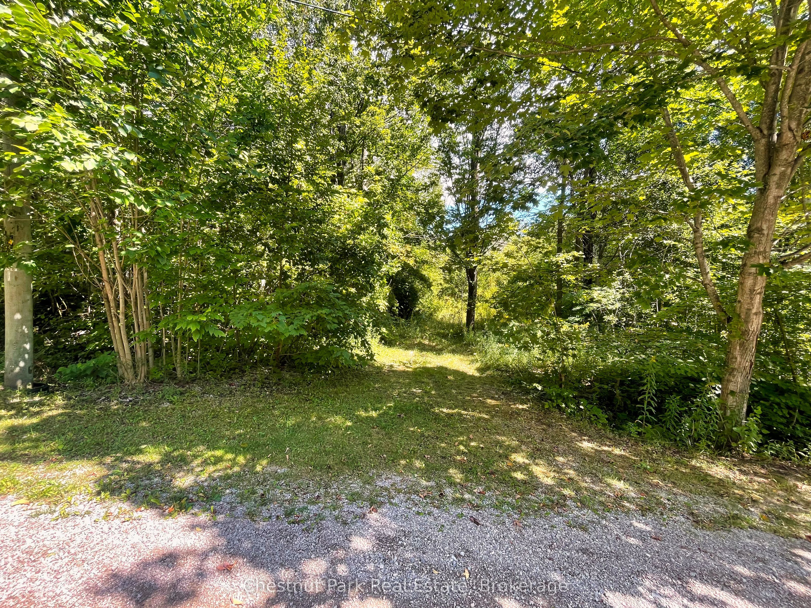 Lt 144 15th Avenue Property Photo 7