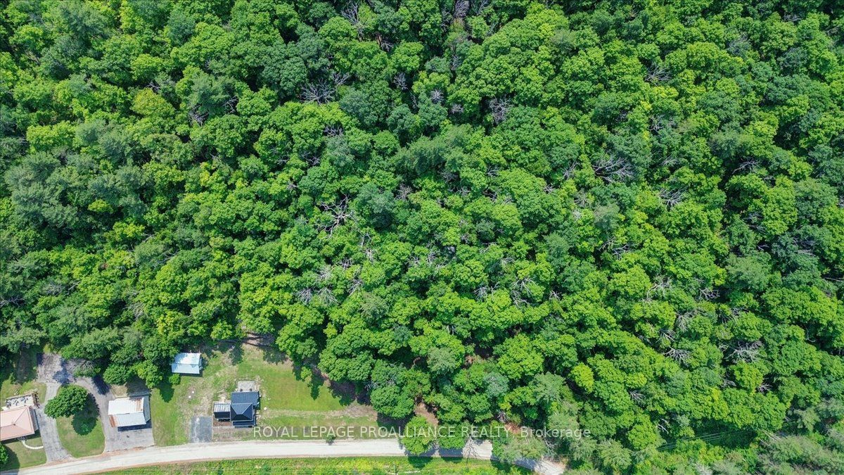 1040 Snider Road Property Photo 34