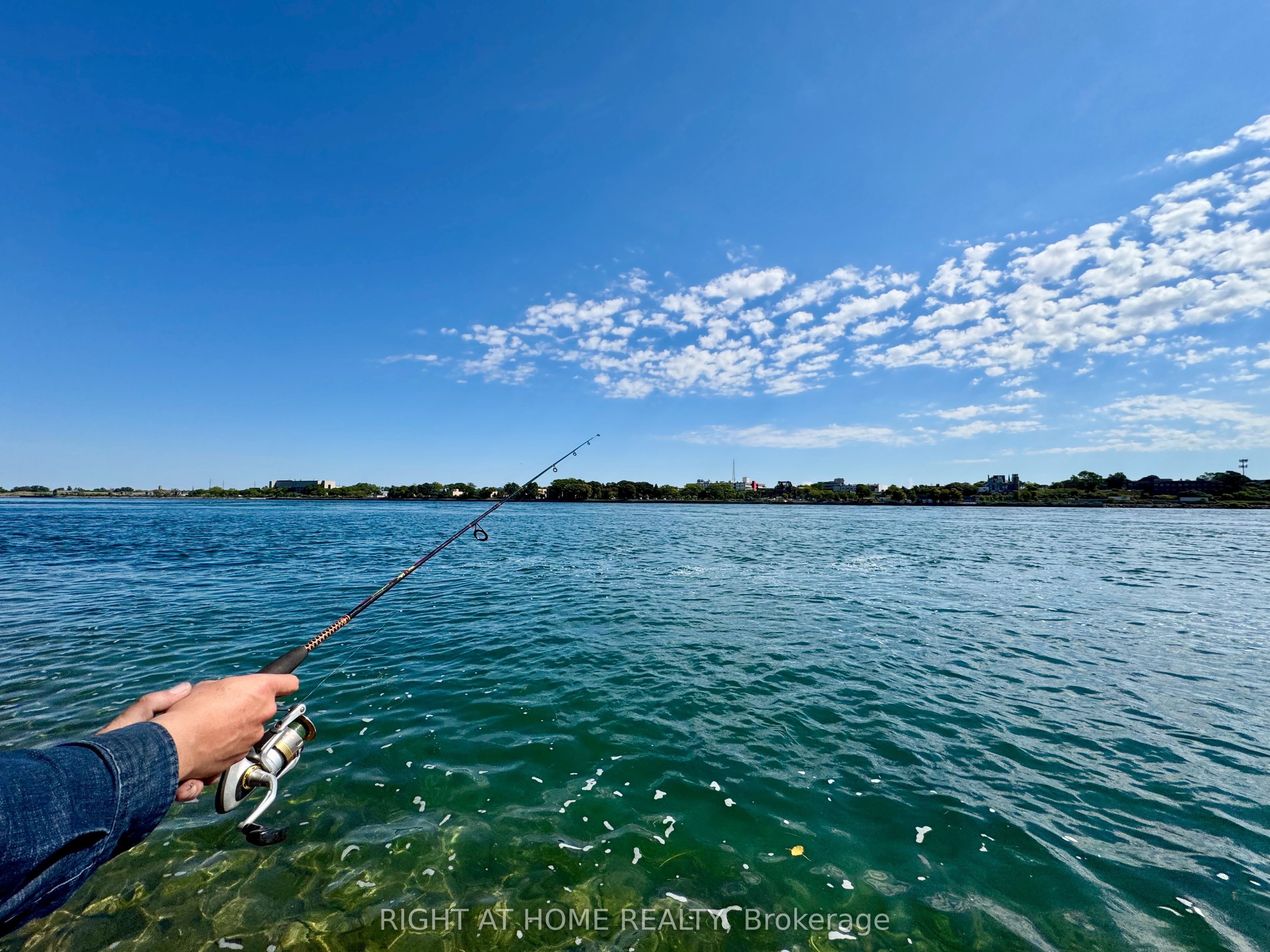 144 Waterloo Street Property Photo 24