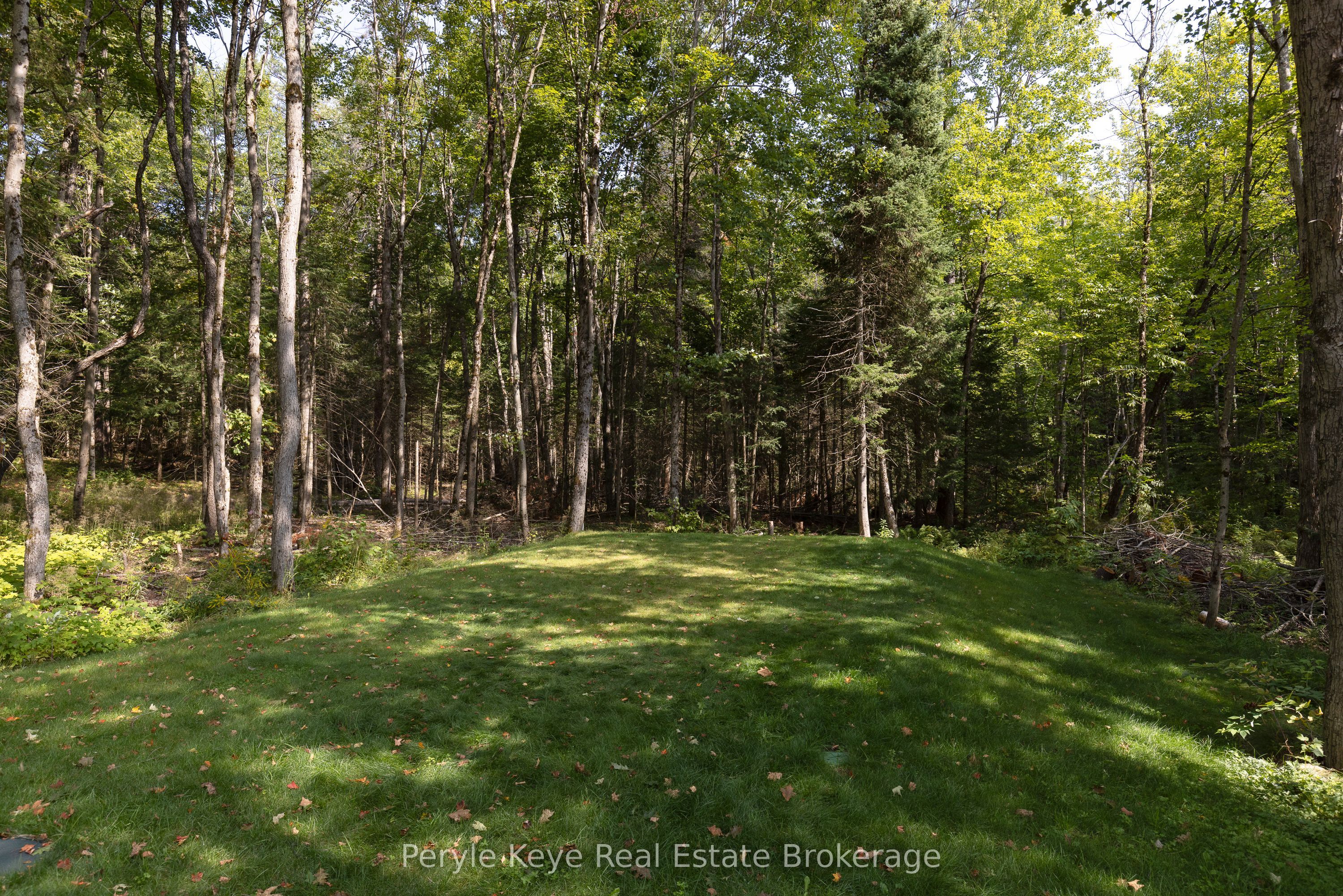 1025 & 1027 Big Island Road Property Photo 42