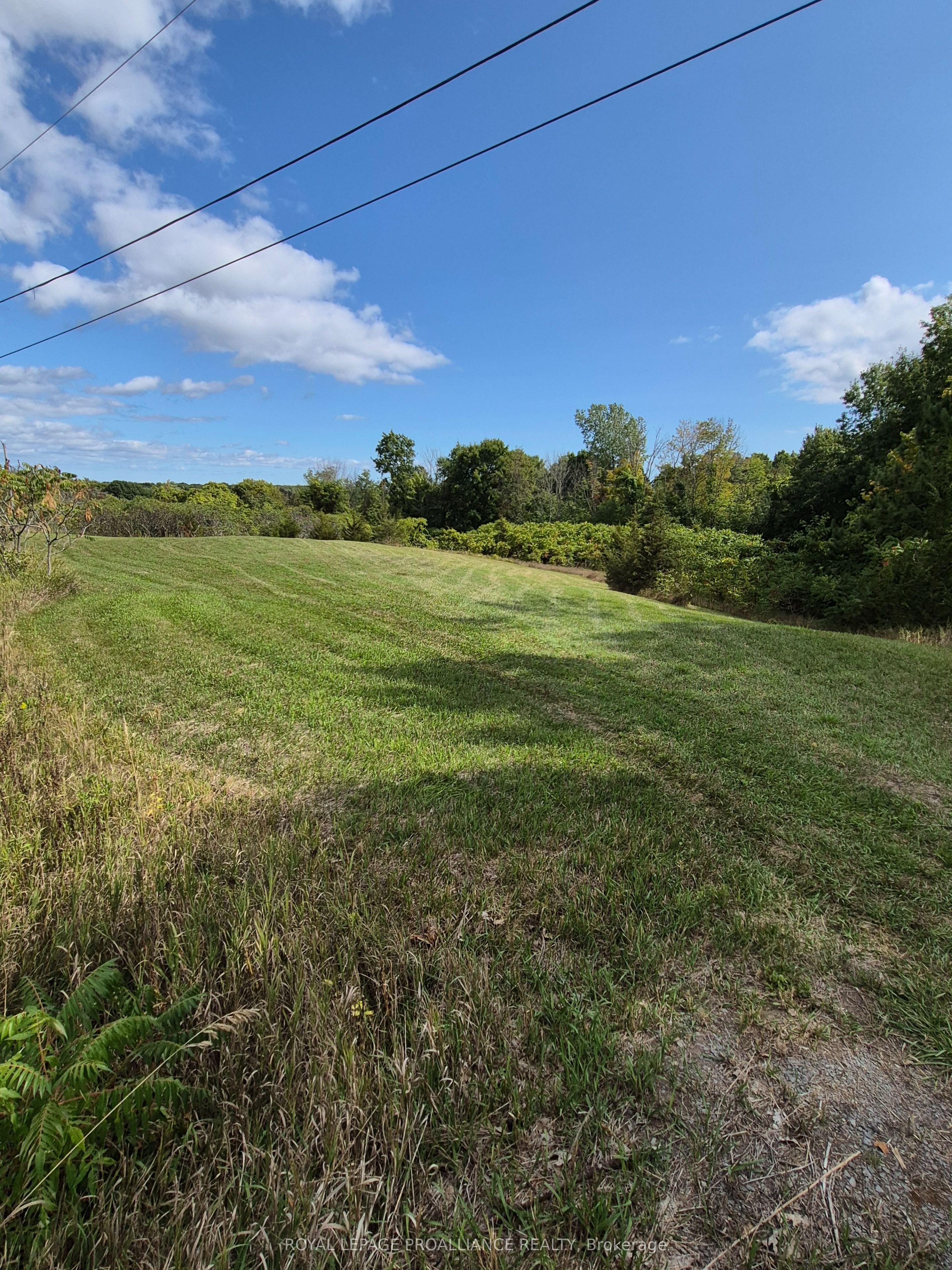 517 Downs Road Property Photo 1