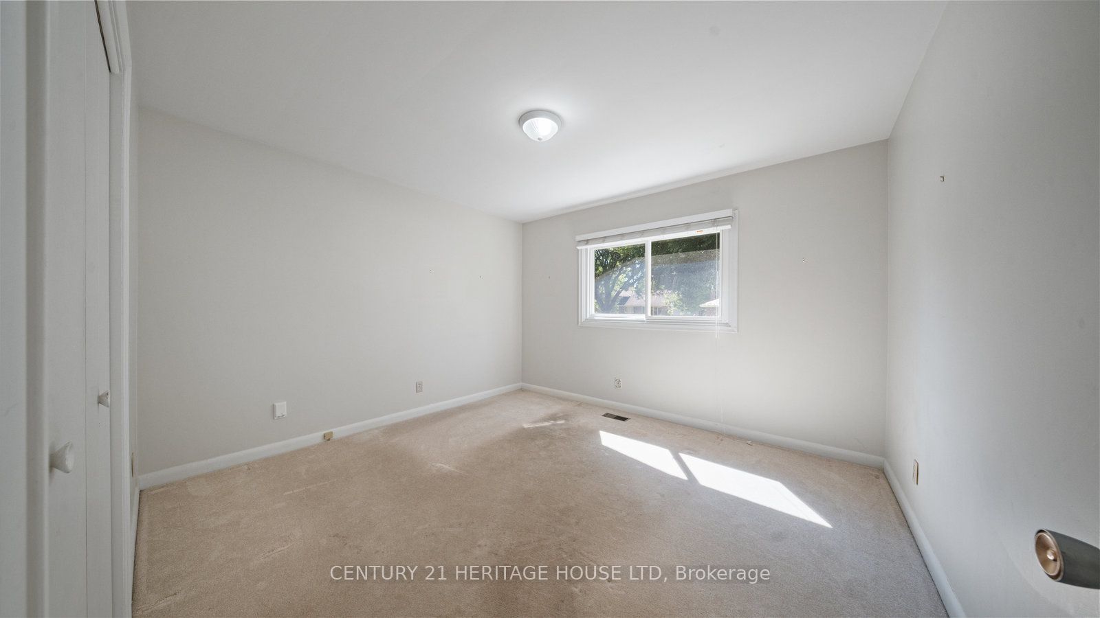 73 Pusey Boulevard Property Photo 22