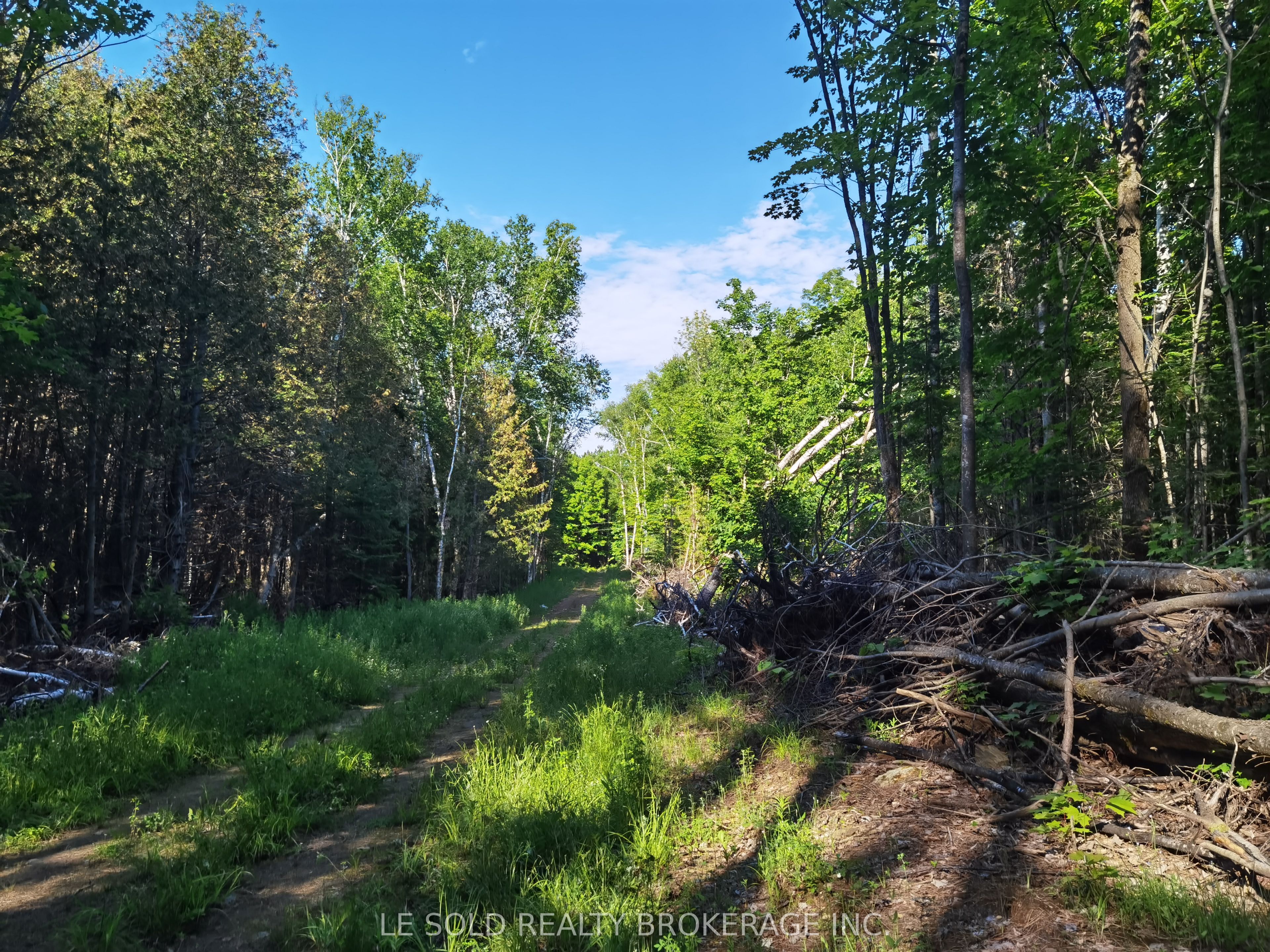 199 Hoffman Road Property Photo 1