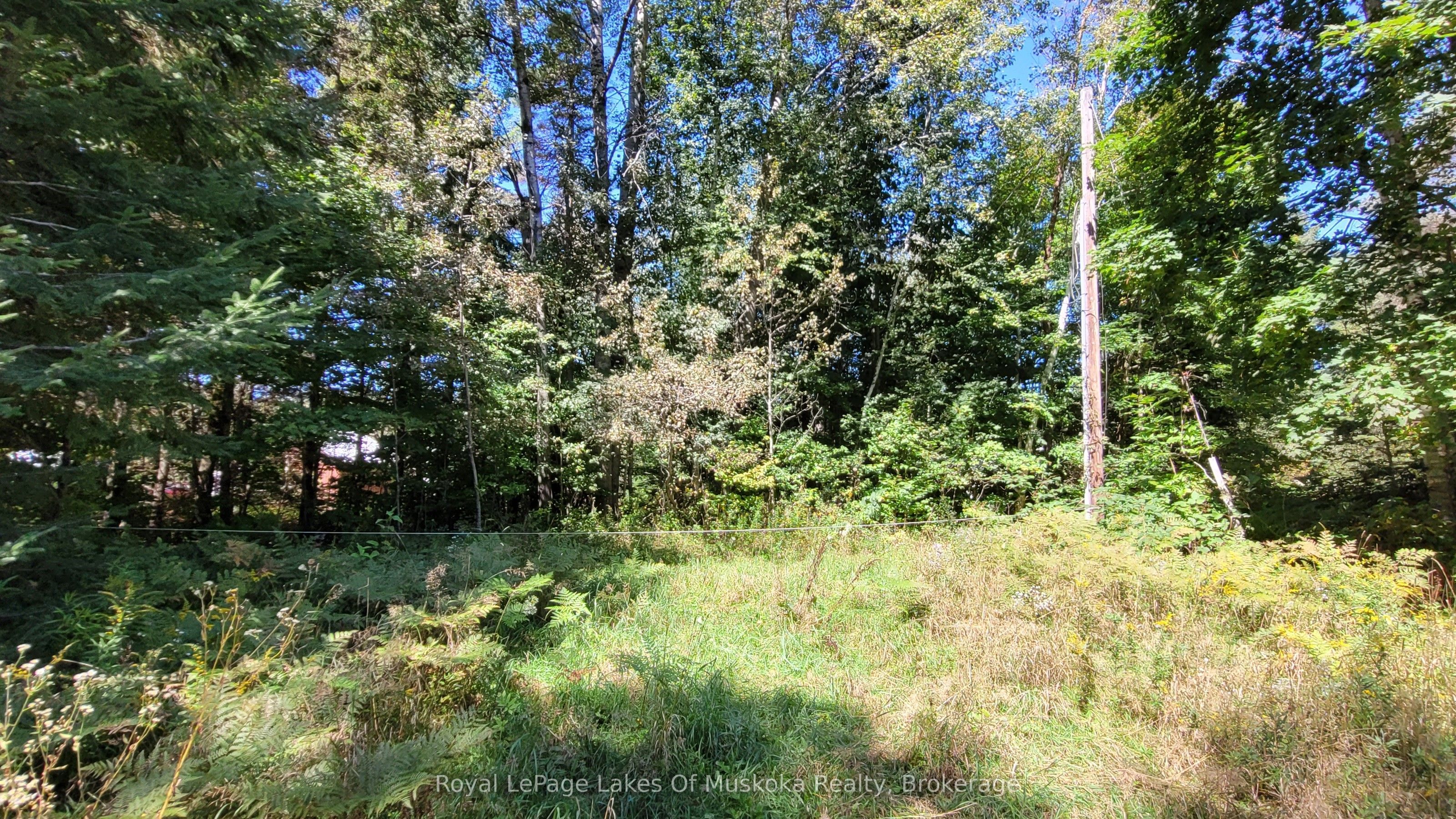 1059 Ablett Court Property Photo 6