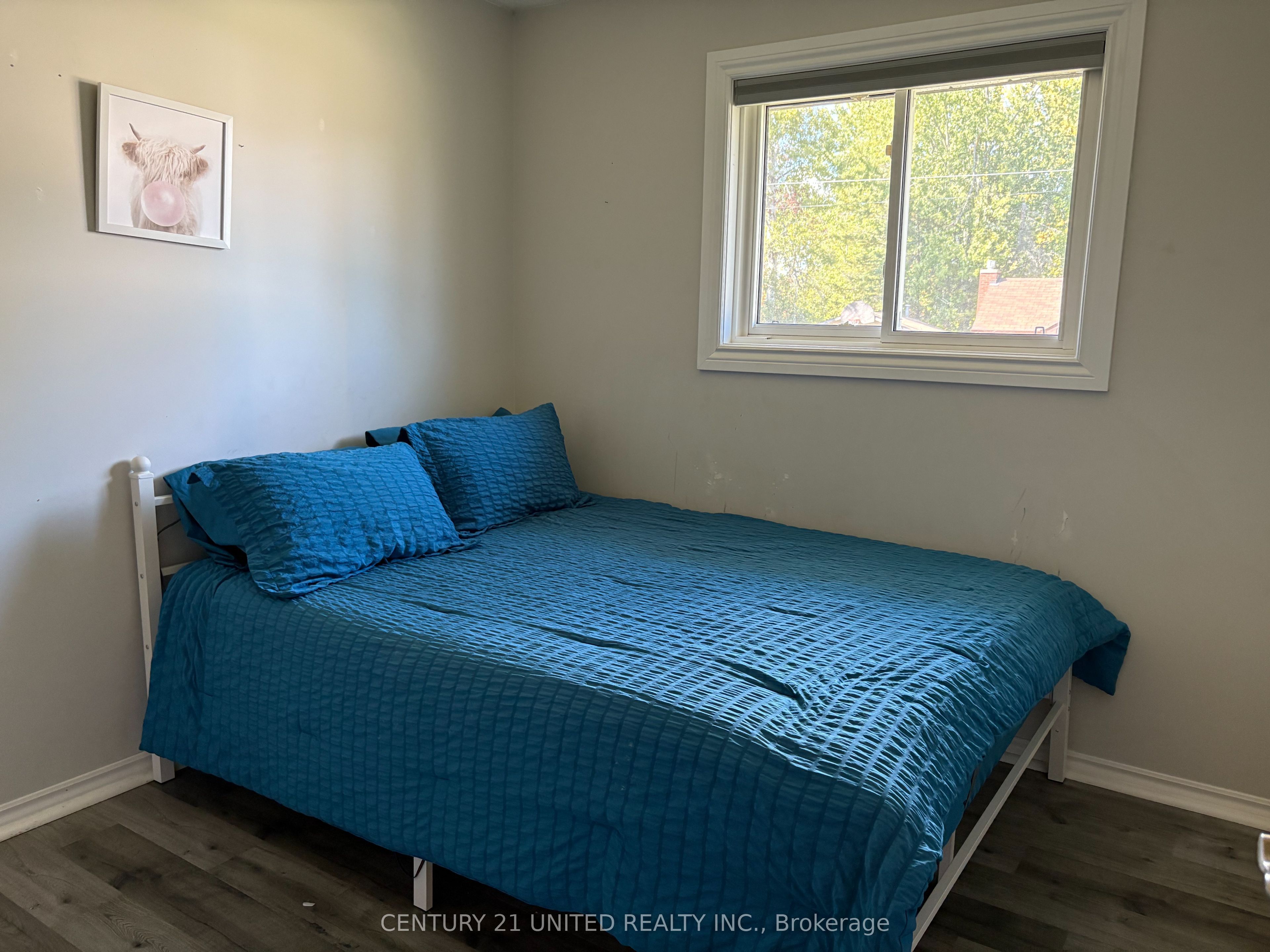 5 Princess Street Property Photo 8