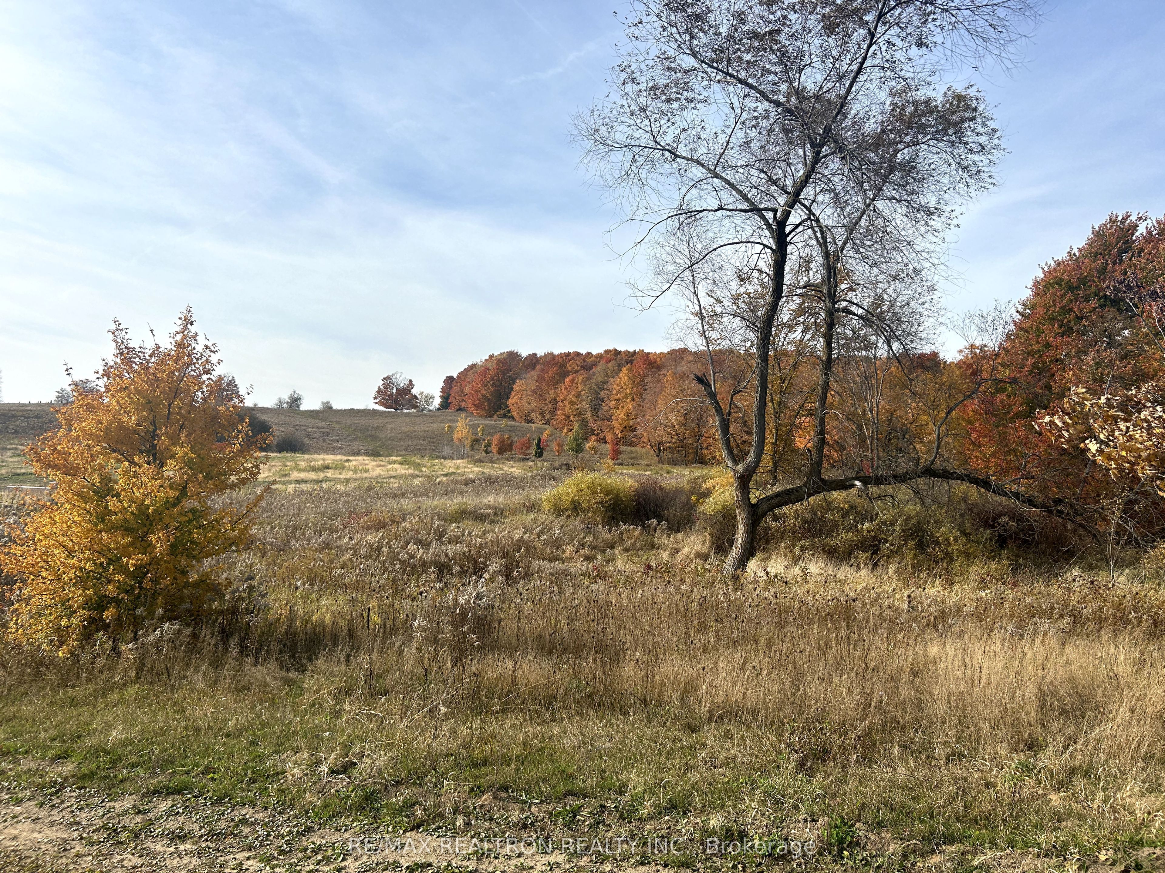 833160 4th Line Property Photo 15