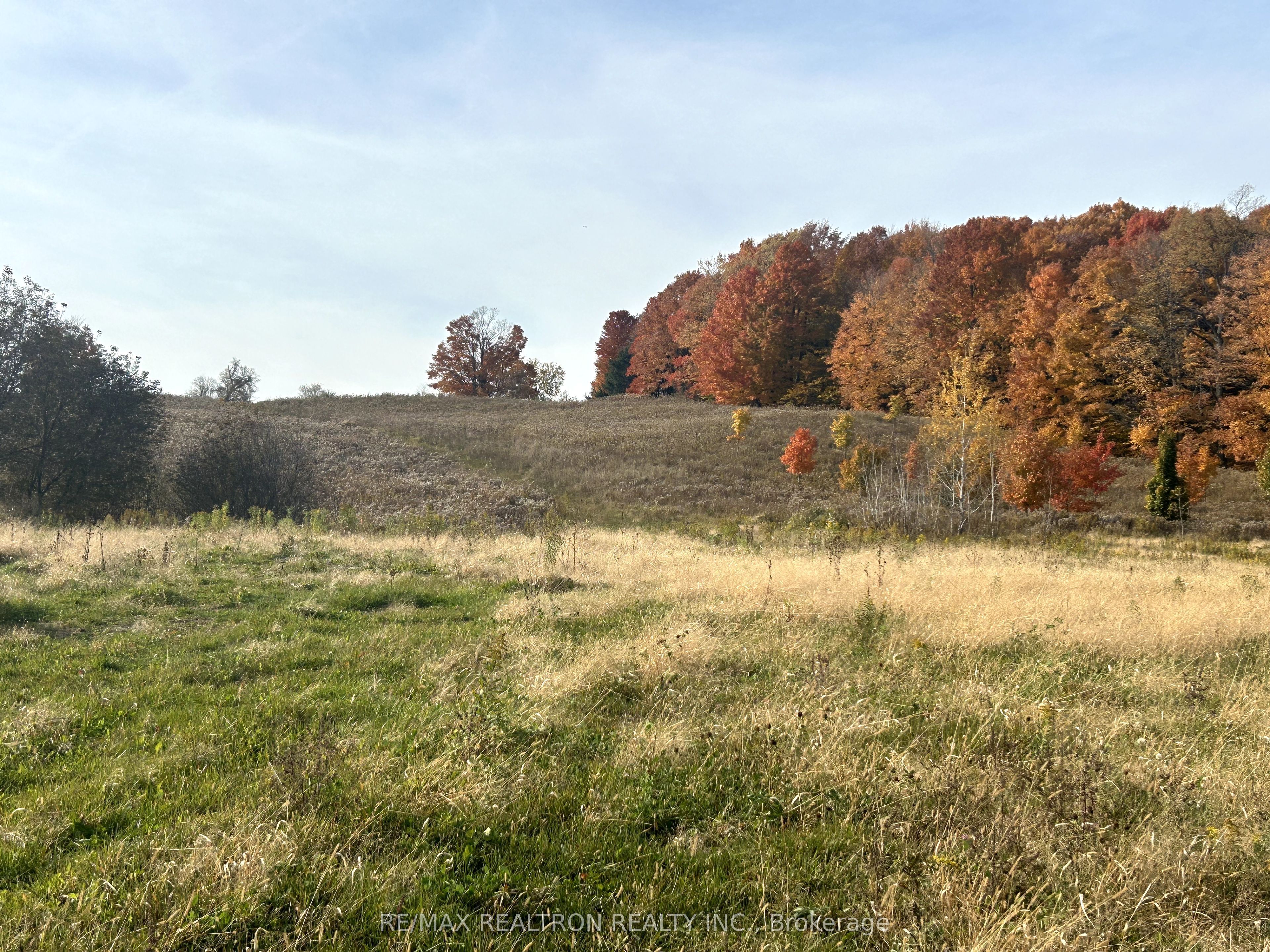 833160 4th Line Property Photo 18