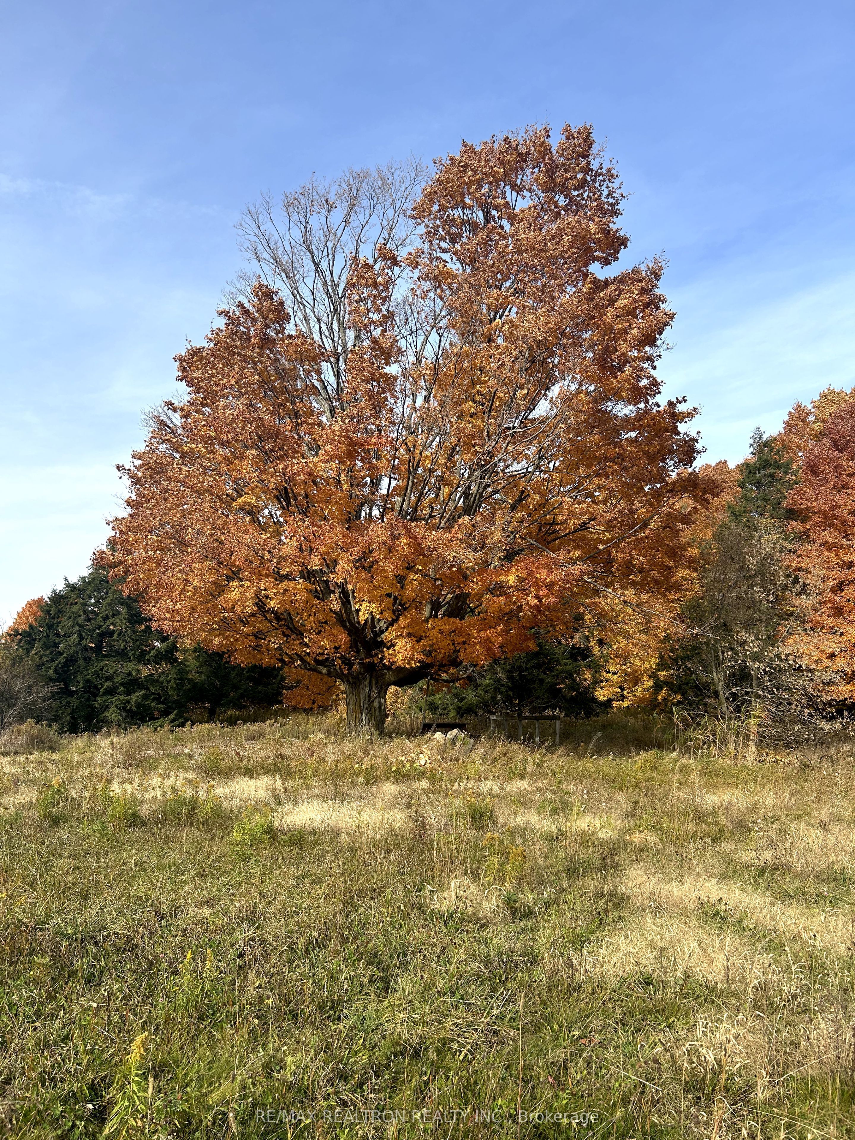 833160 4th Line Property Photo 19