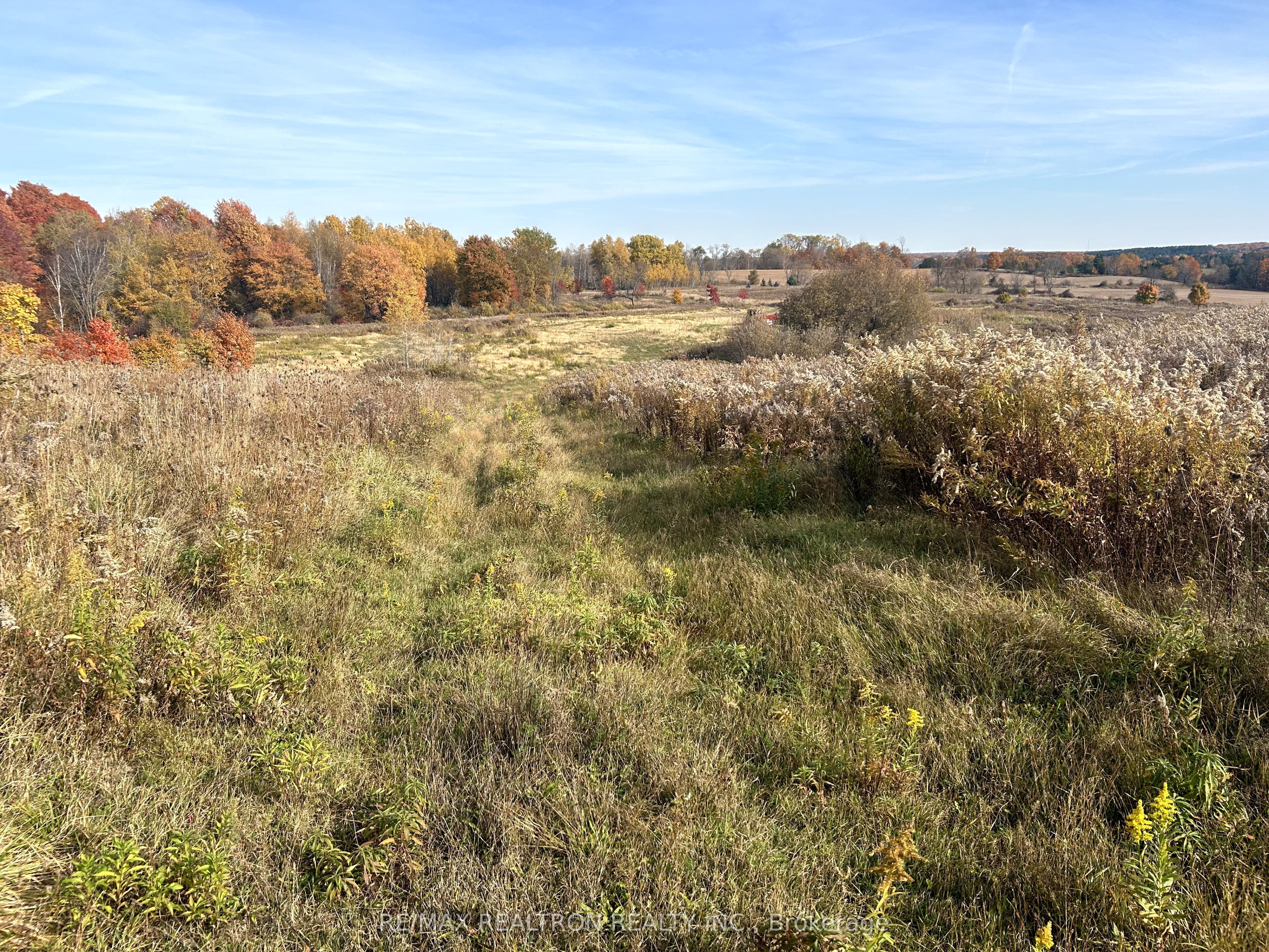 833160 4th Line Property Photo 21