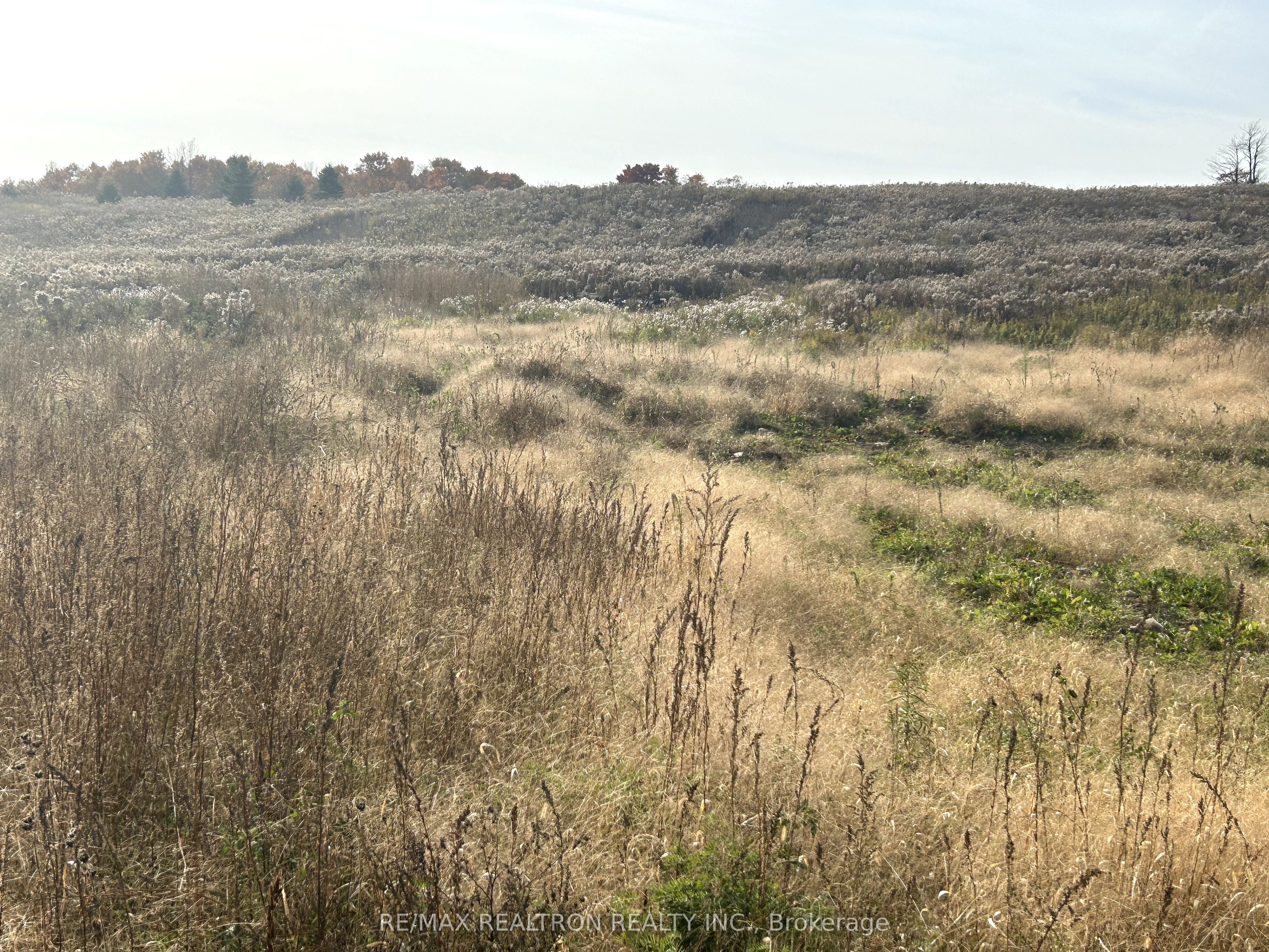 833160 4th Line Property Photo 26