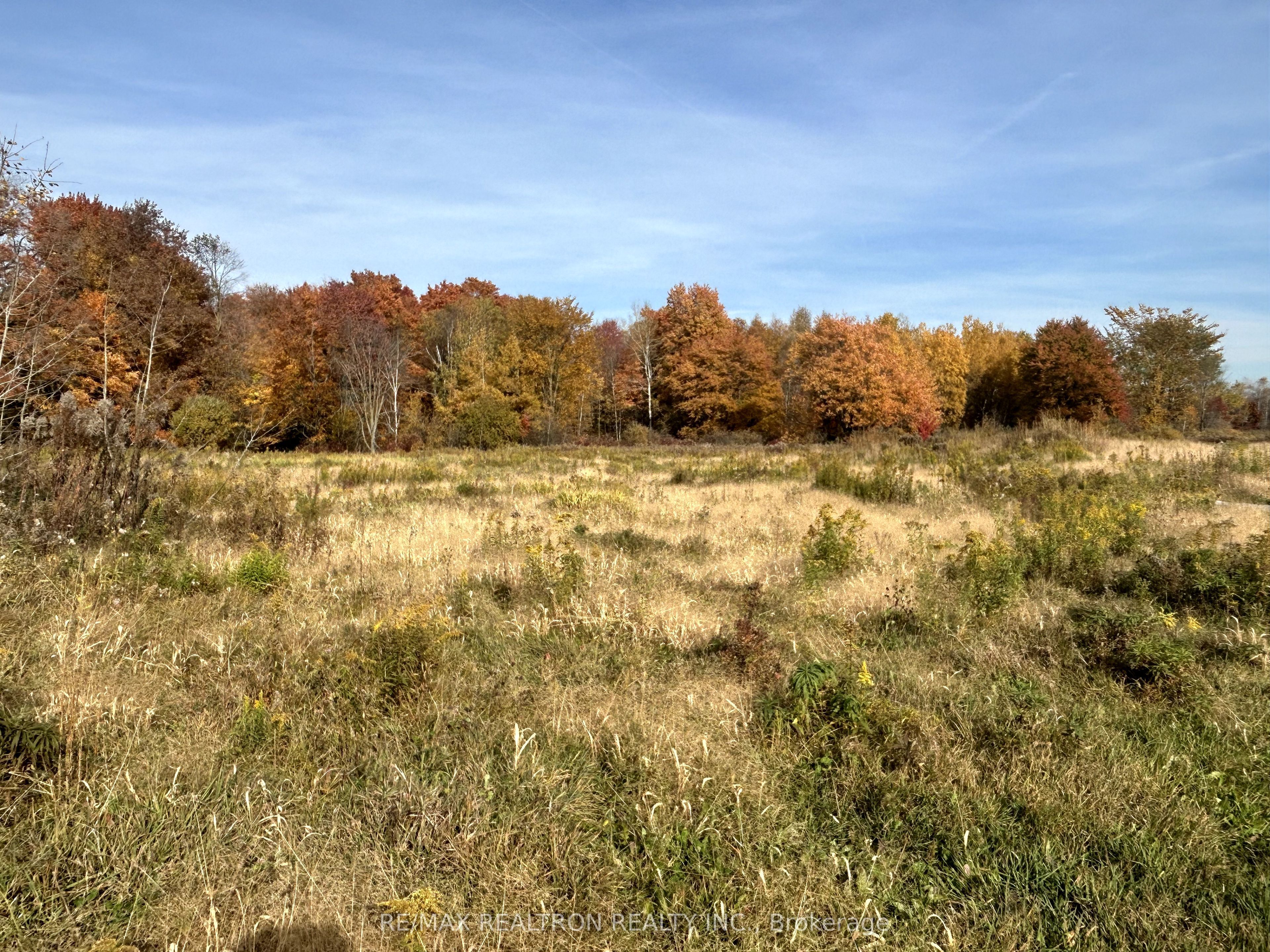 833160 4th Line Property Photo 27