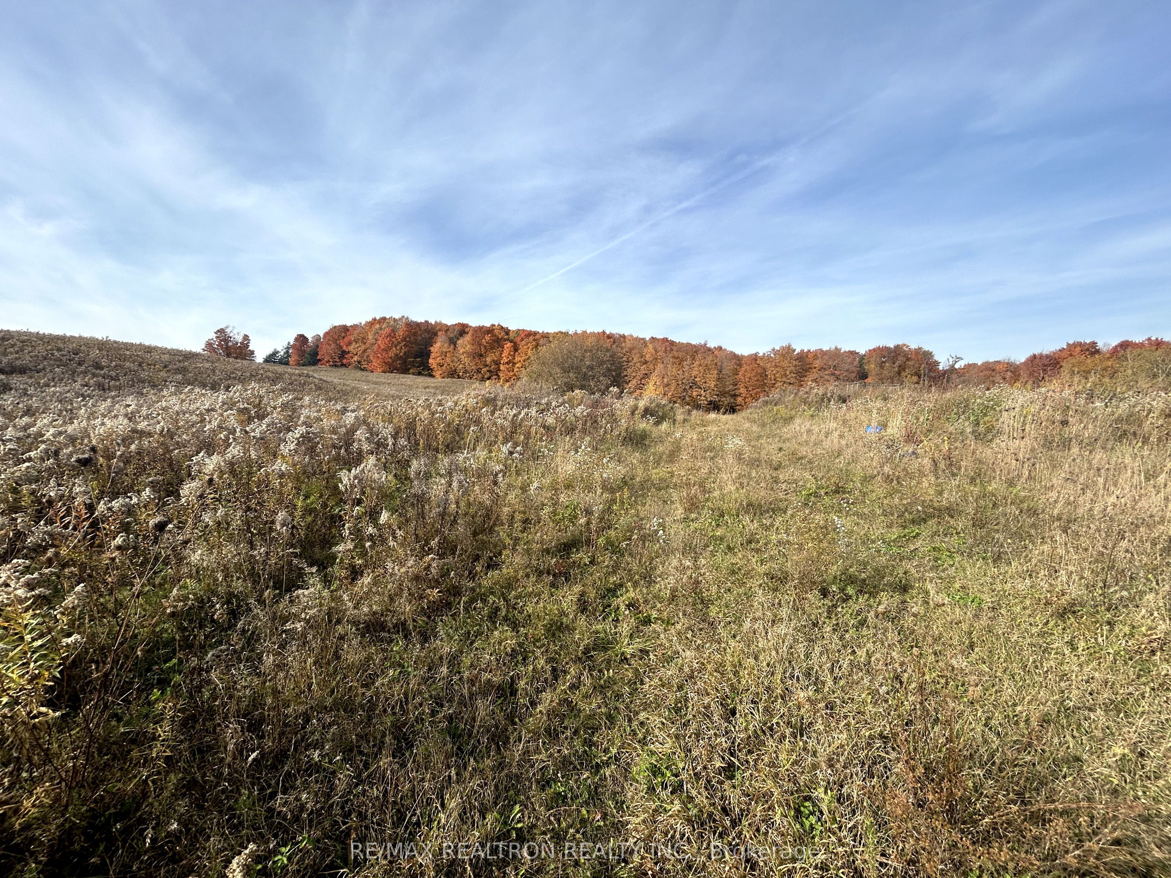 833160 4th Line Property Photo 28