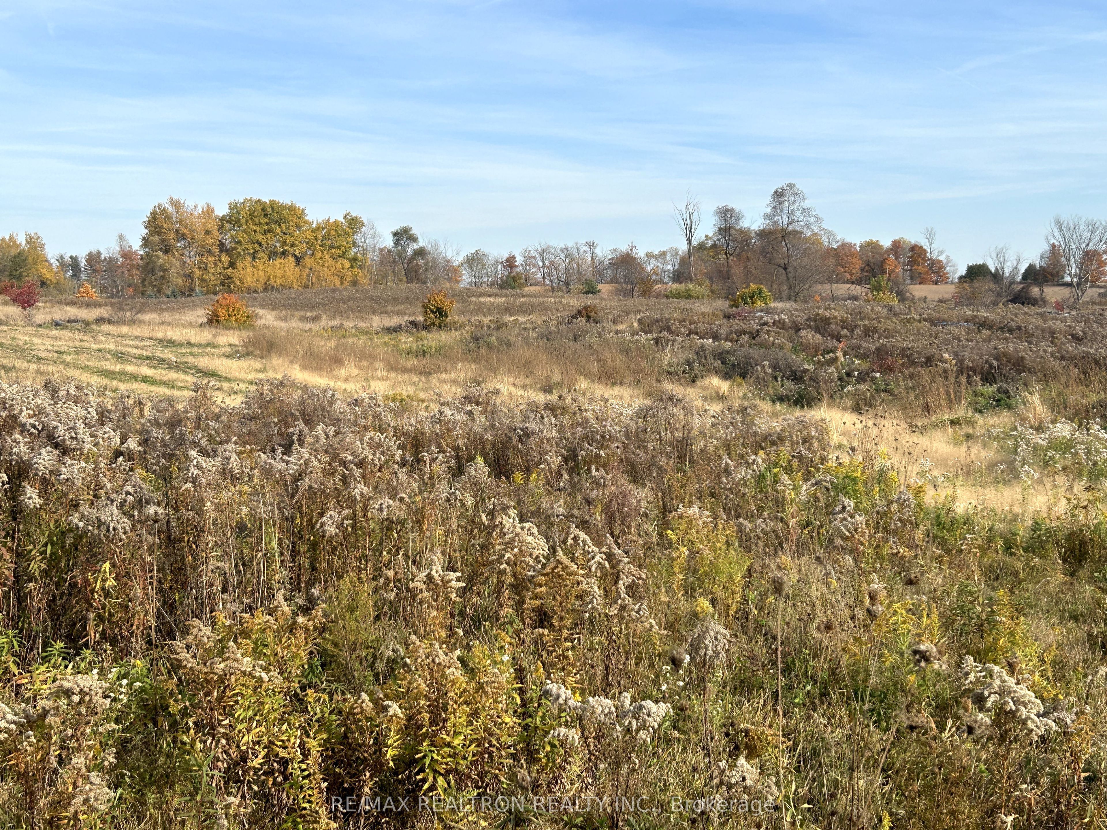 833160 4th Line Property Photo 29