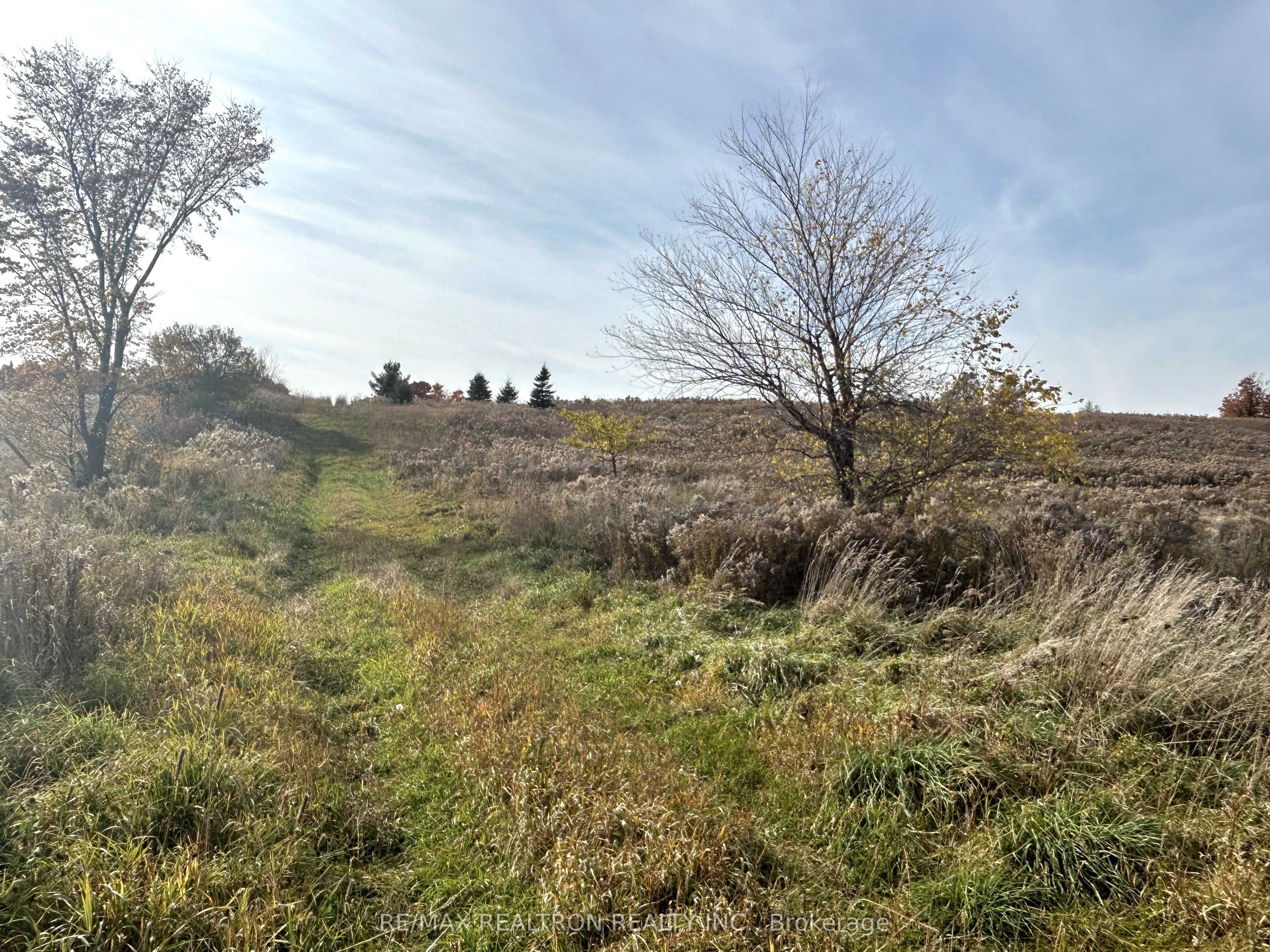 833160 4th Line Property Photo 31